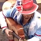 Comparsa La guayabera. 2016. Pasodoble a la Educación.
