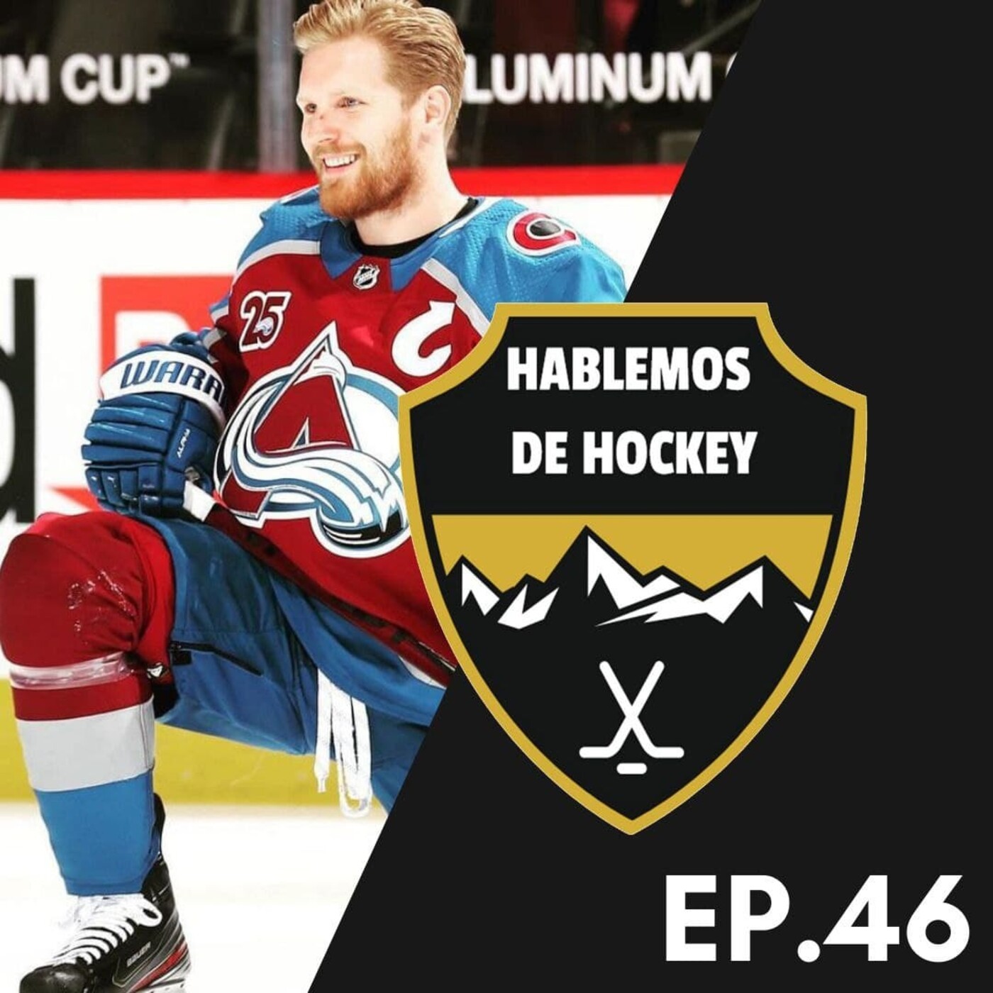 Hablemos de Hockey