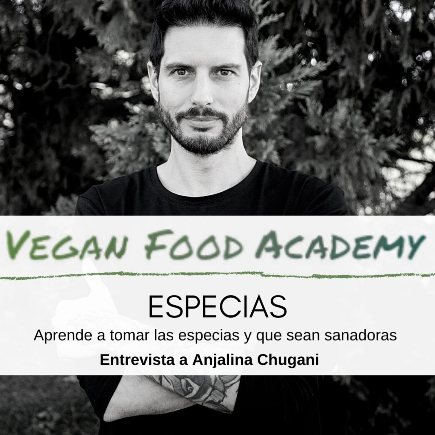 Alimentación vegetal