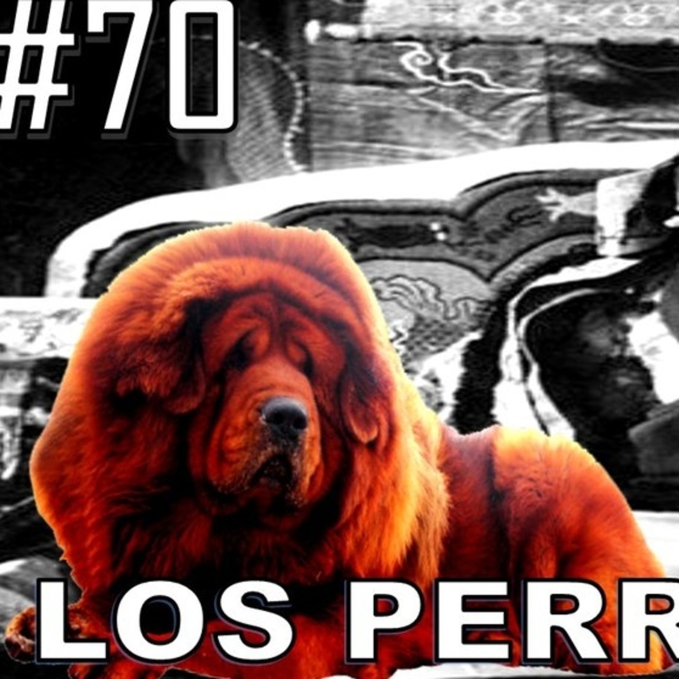 Capítulo 70. Los Perros Daivas
