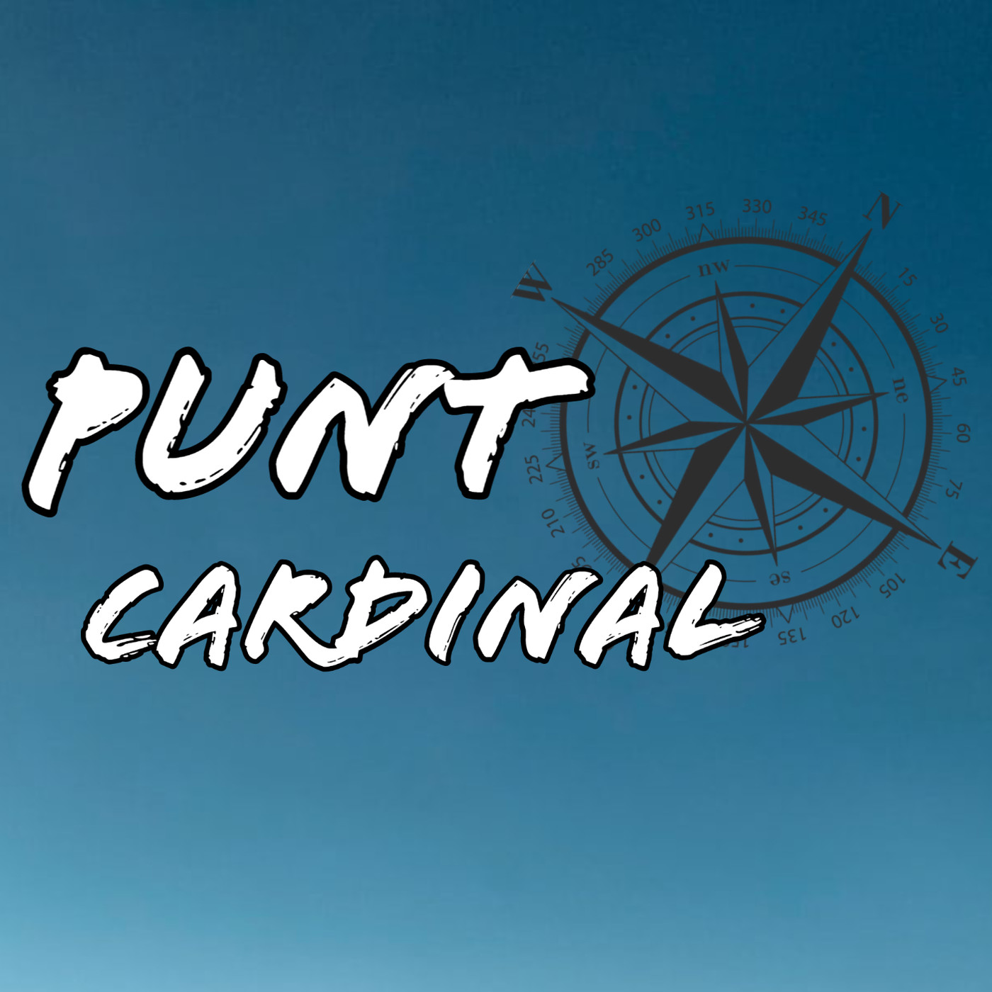 Punto Cardinal
