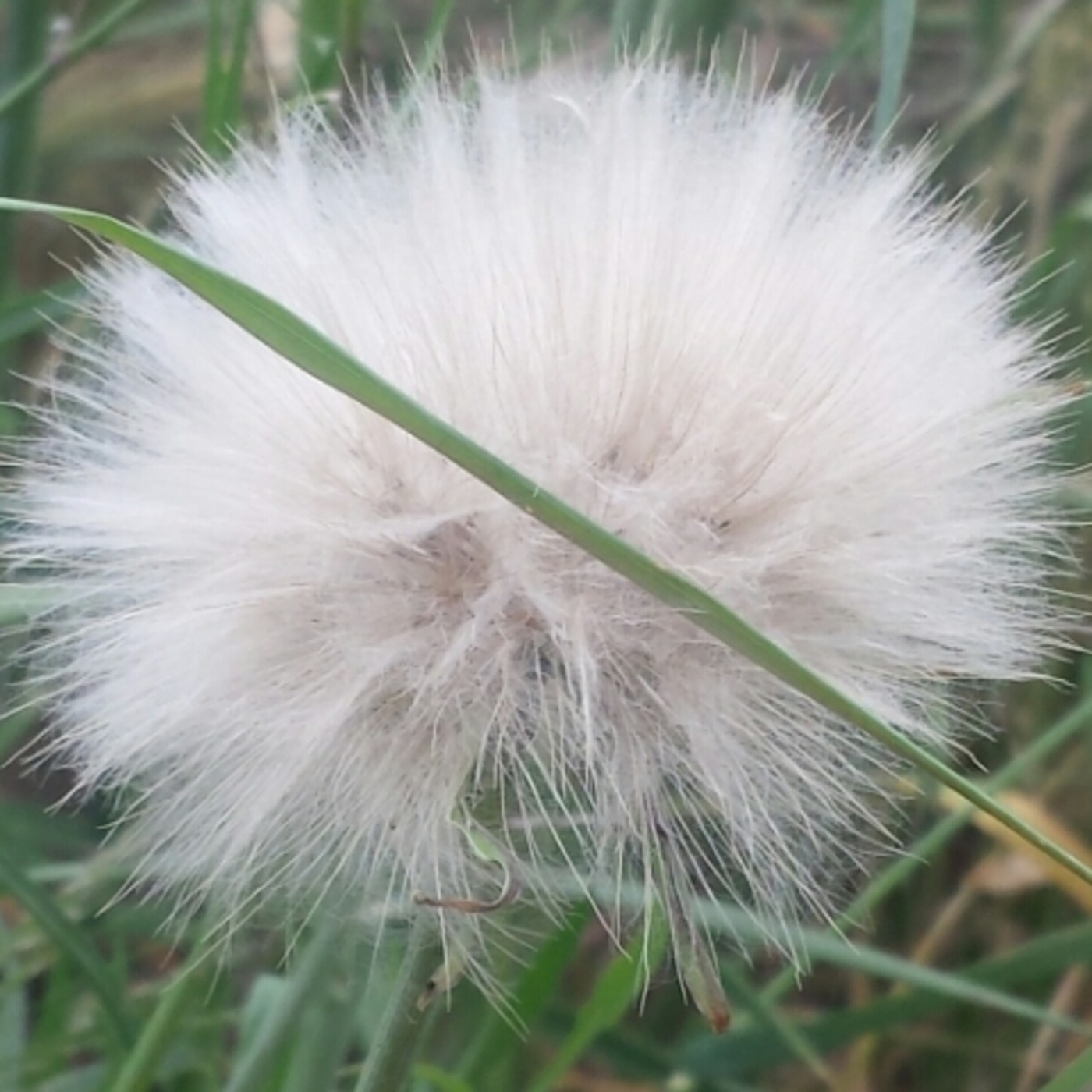 Nuestra Mente es Maravillosa