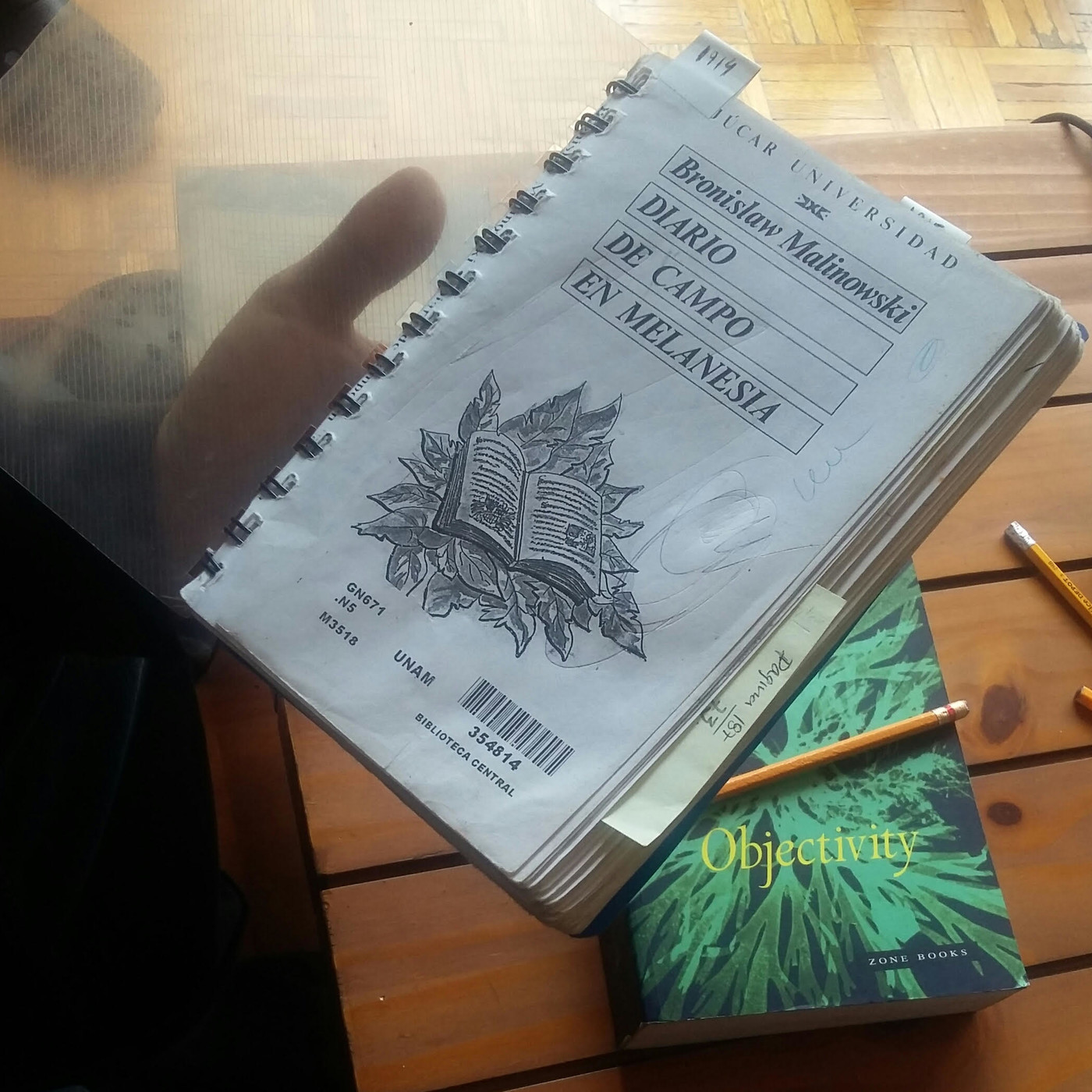 8 Lluvia impresionista - Diario de Campo, MALINOWSKI