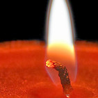 embed image