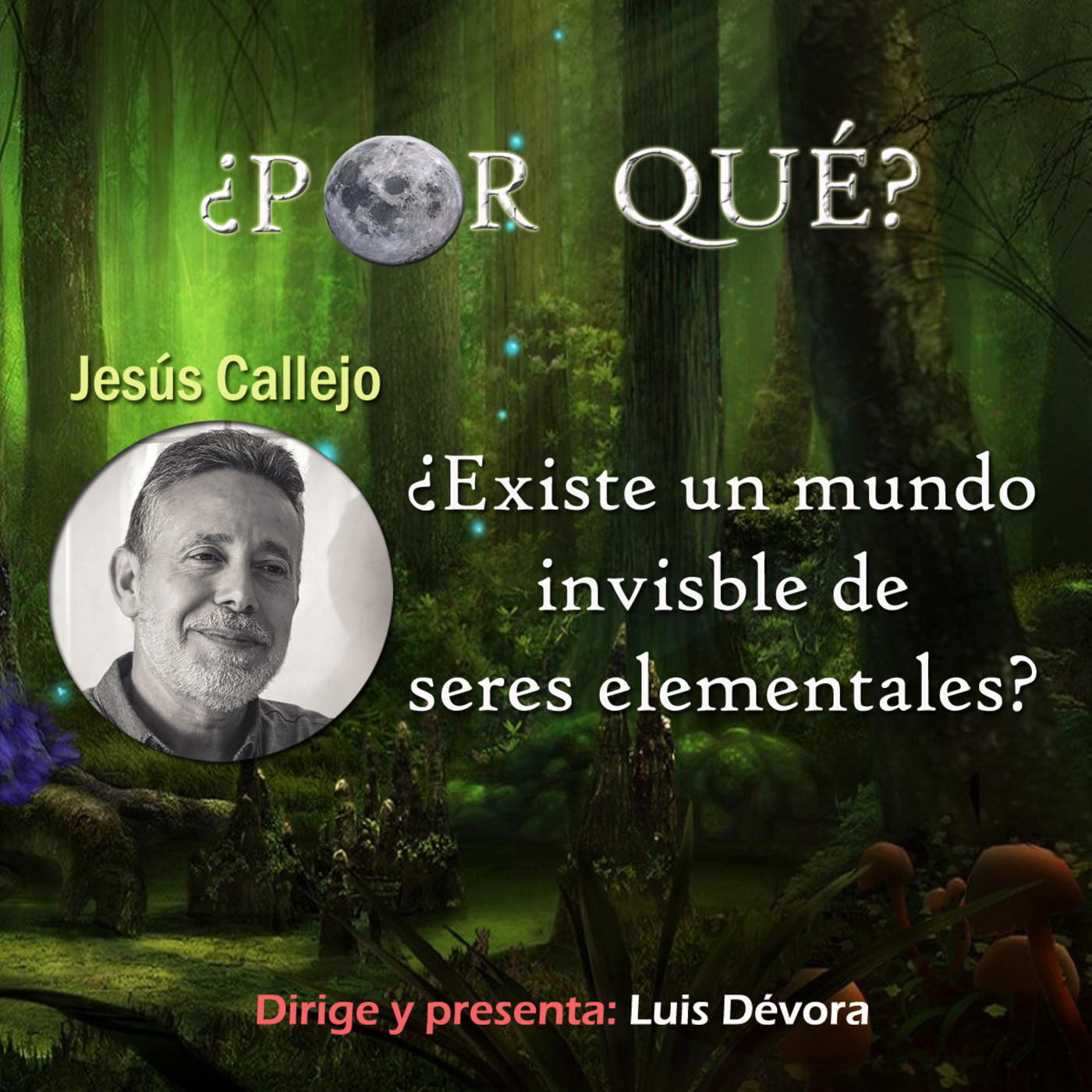 ¿Por qué?