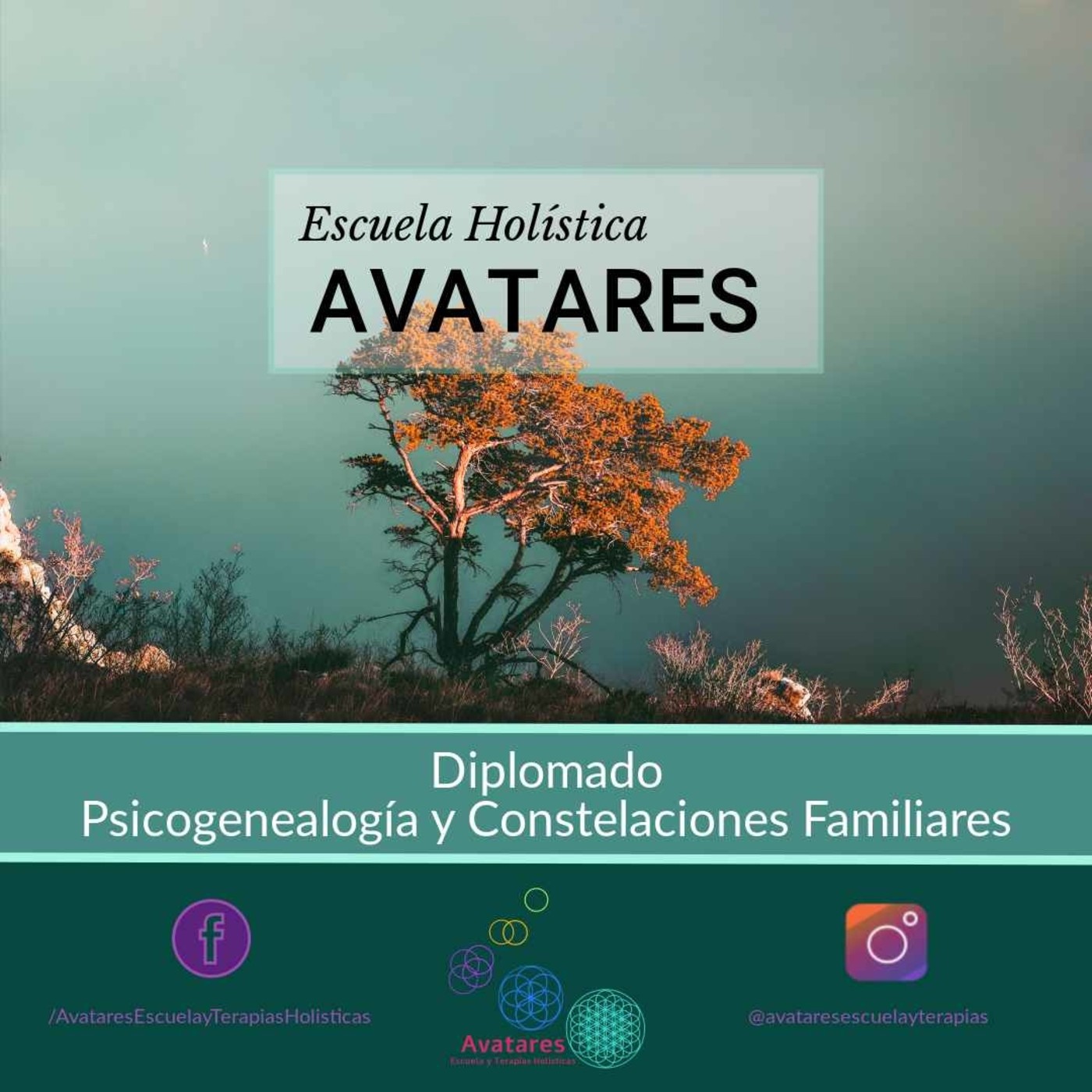La abundancia Primera parte - 15/6/19