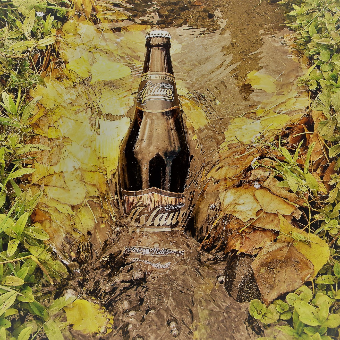 Aire de Cerveza