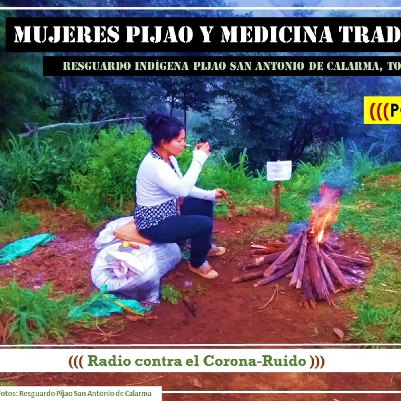 CORONA-RUIDO 2020 | Como la cigarra...Radio