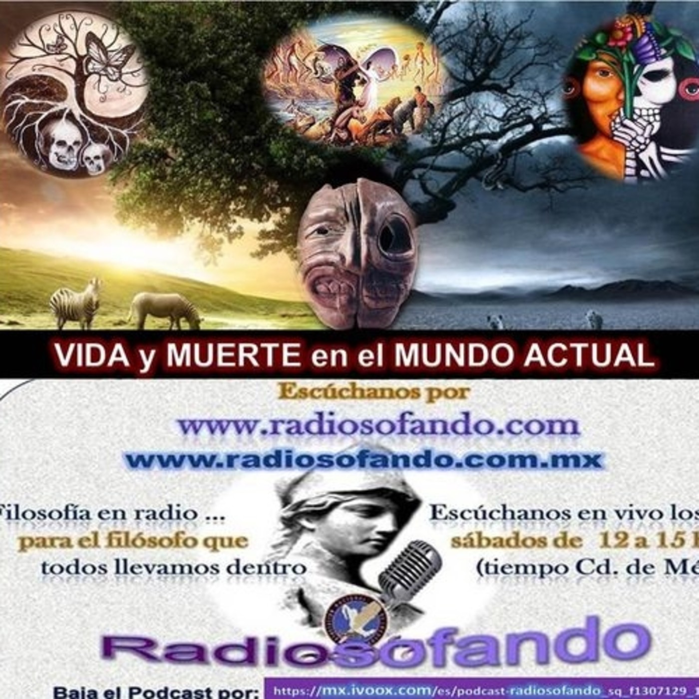 Radiosofando