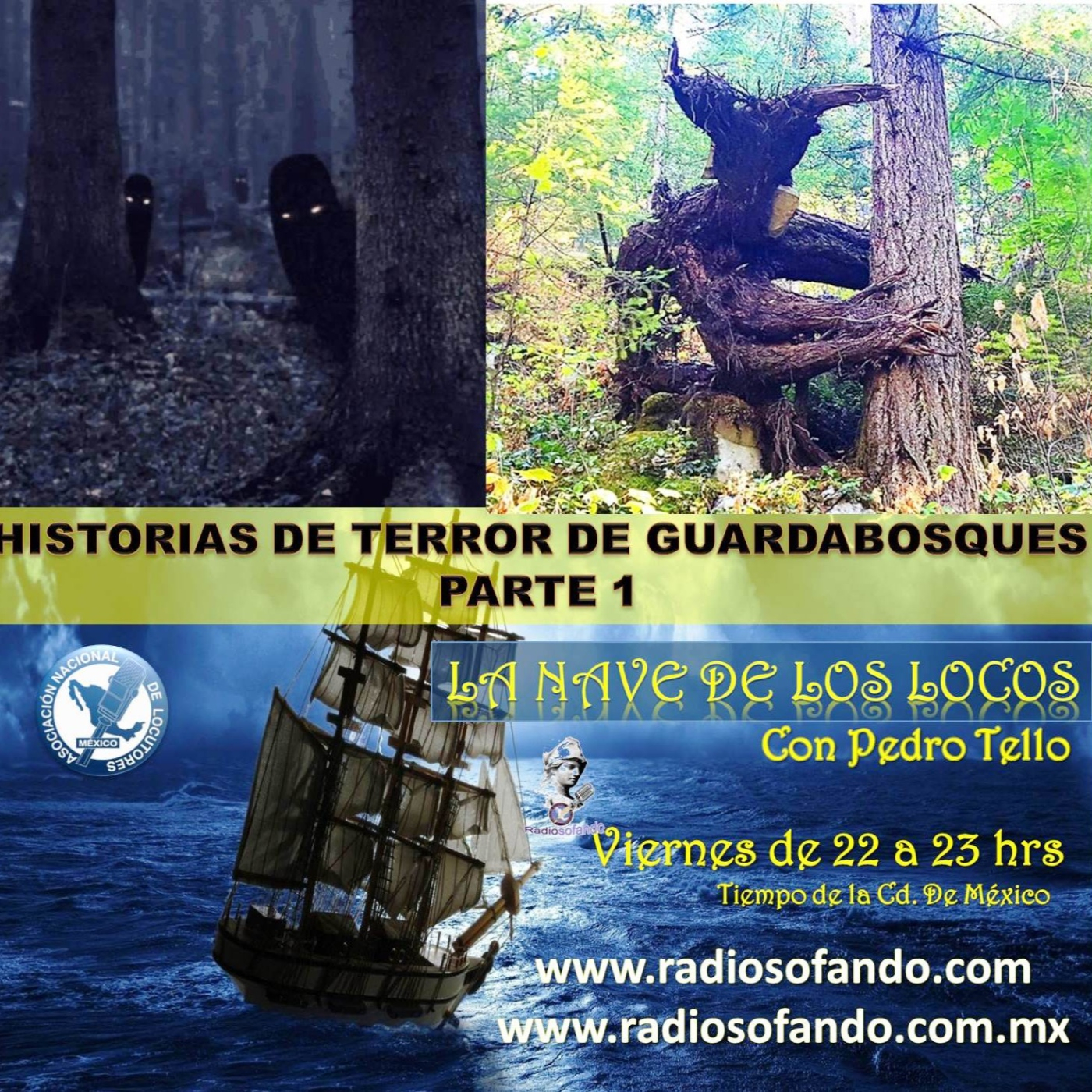 La Nave de los Locos_HISTORIAS DE TERROR DE GUARDABOSQUE 1a Parte_01-04-22 episode artwork