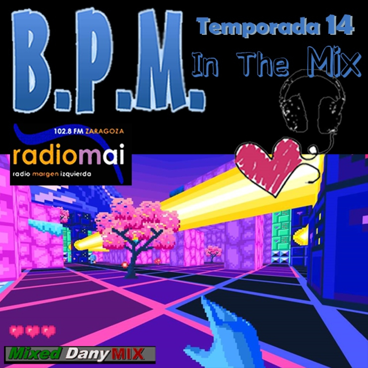 BPM Radio Project