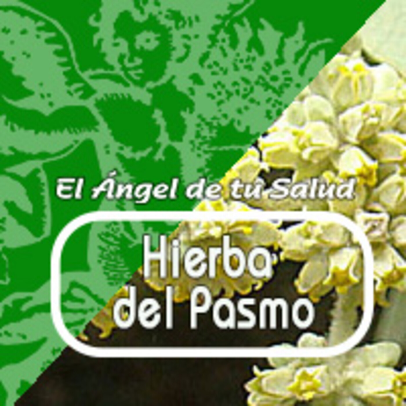 El Angel de tu Salud - HIERBA DEL PASMO*** episode artwork