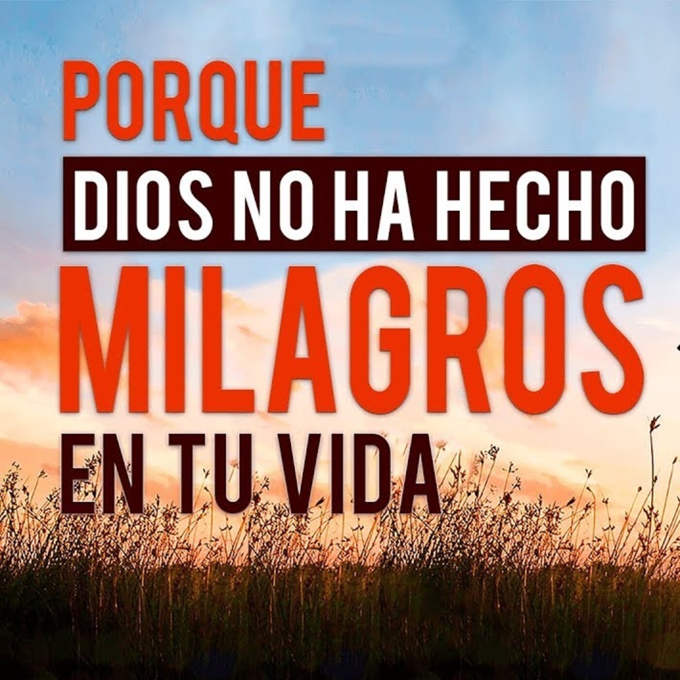 SANIDAD Y LIBERACIÓN