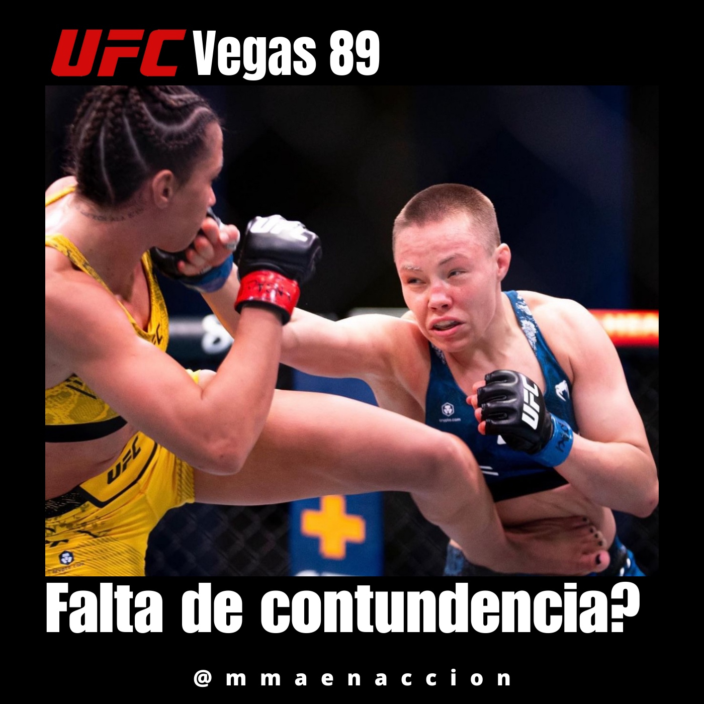 MMA en acción