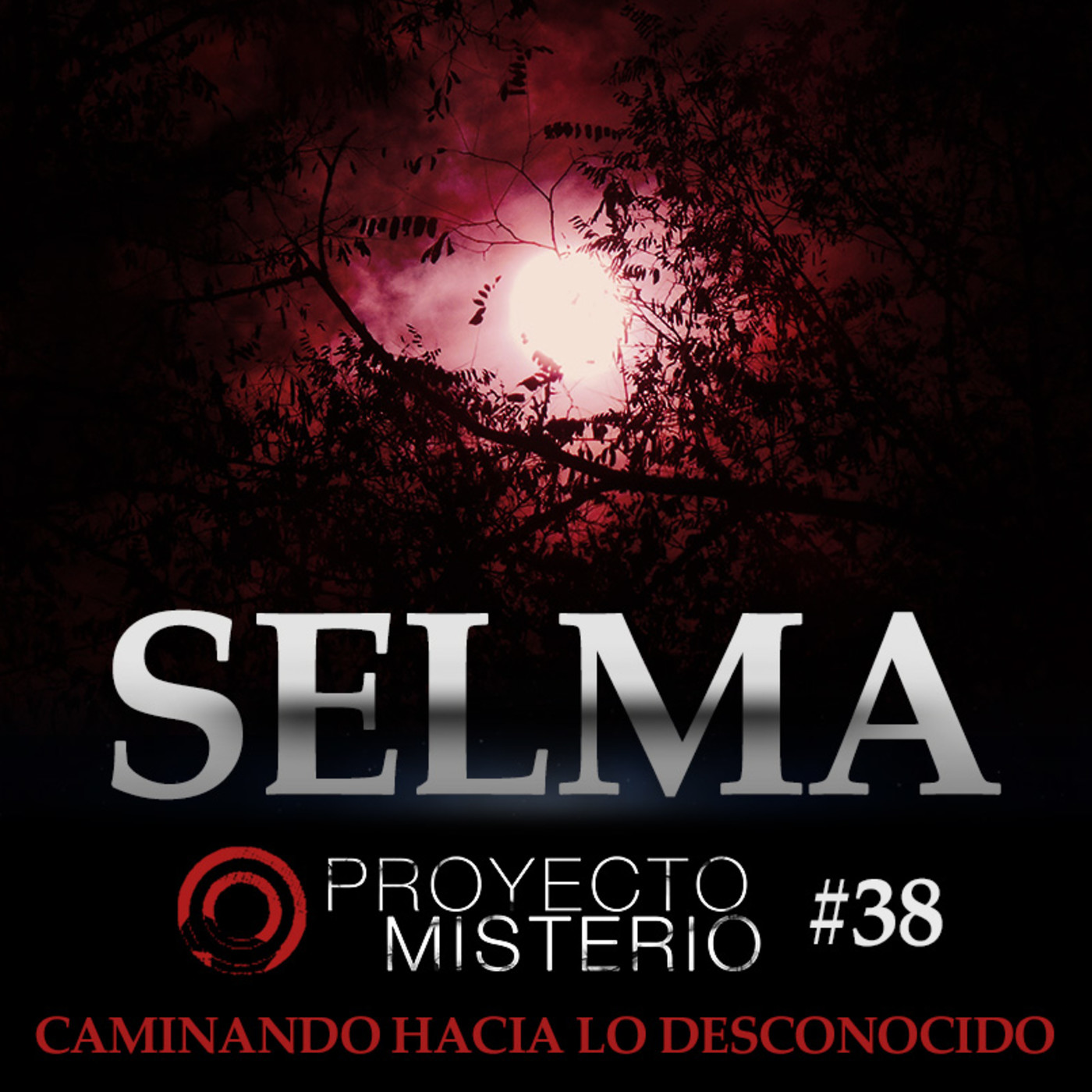 Proyecto Misterio 38: Selma