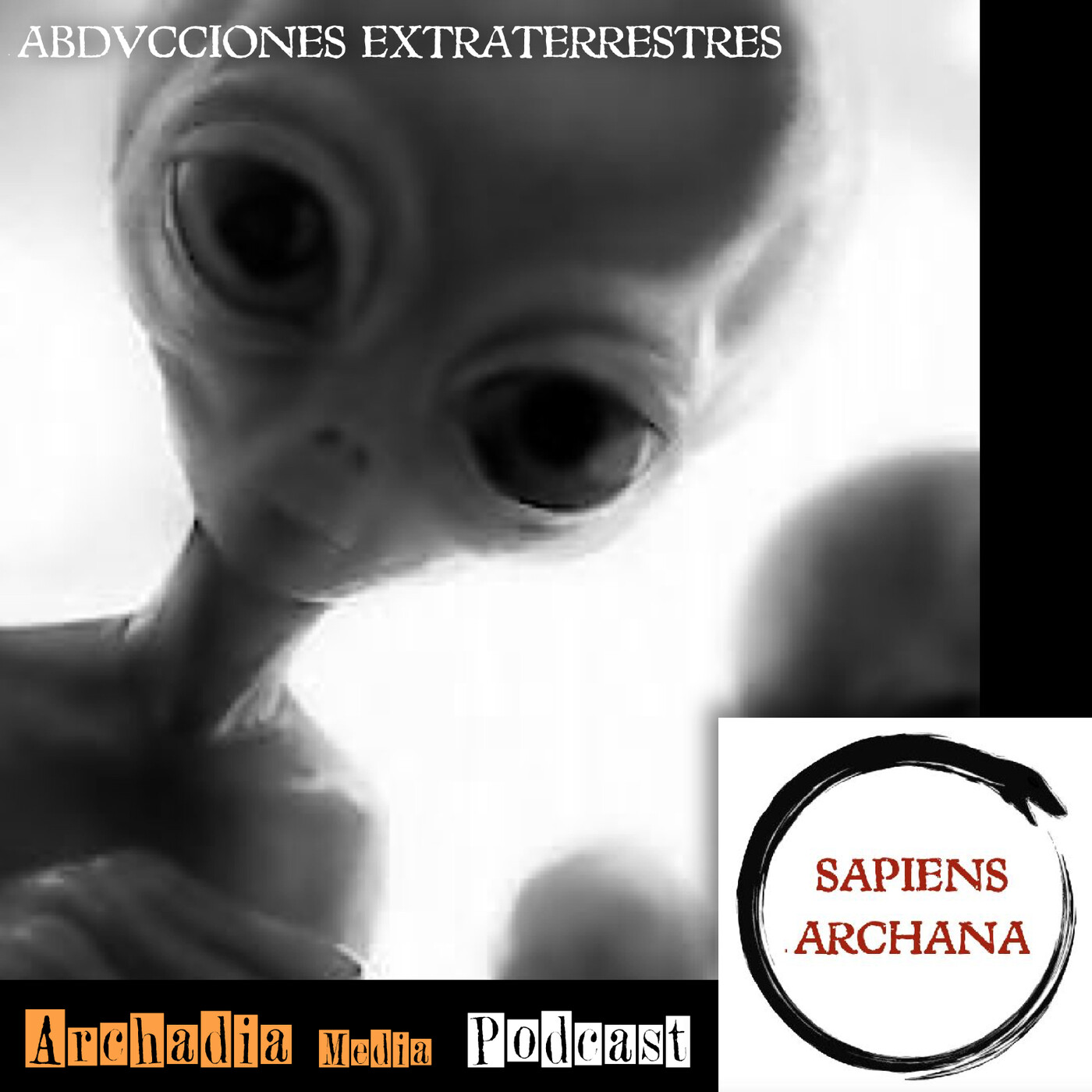24 | Abducciones Extraterrestres