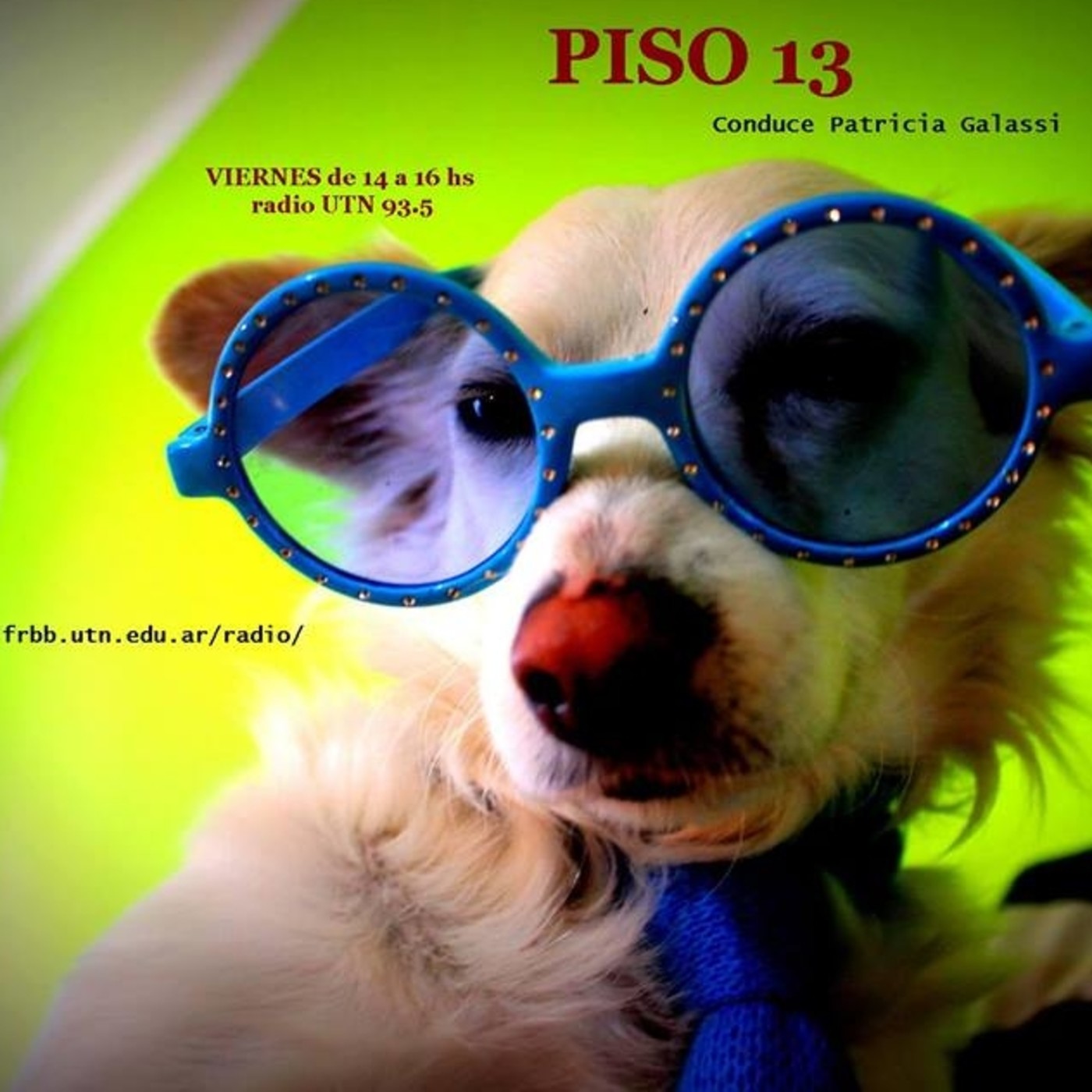 Piso 13