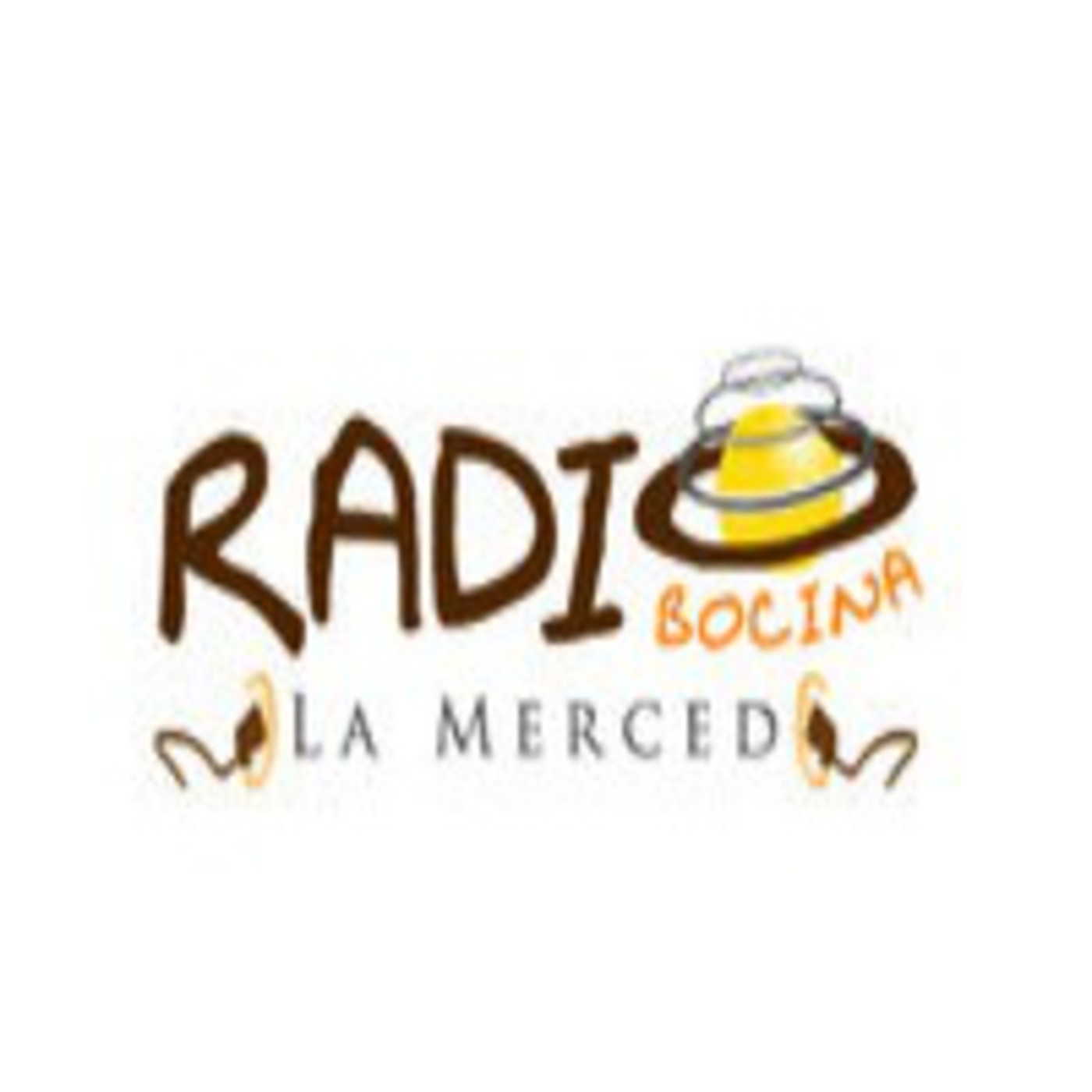 MICROFONO MERCEDARIO