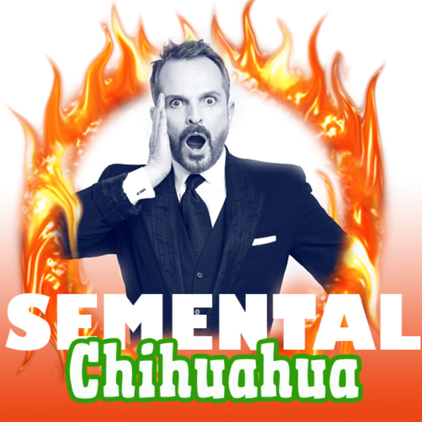Semental Chihuahua