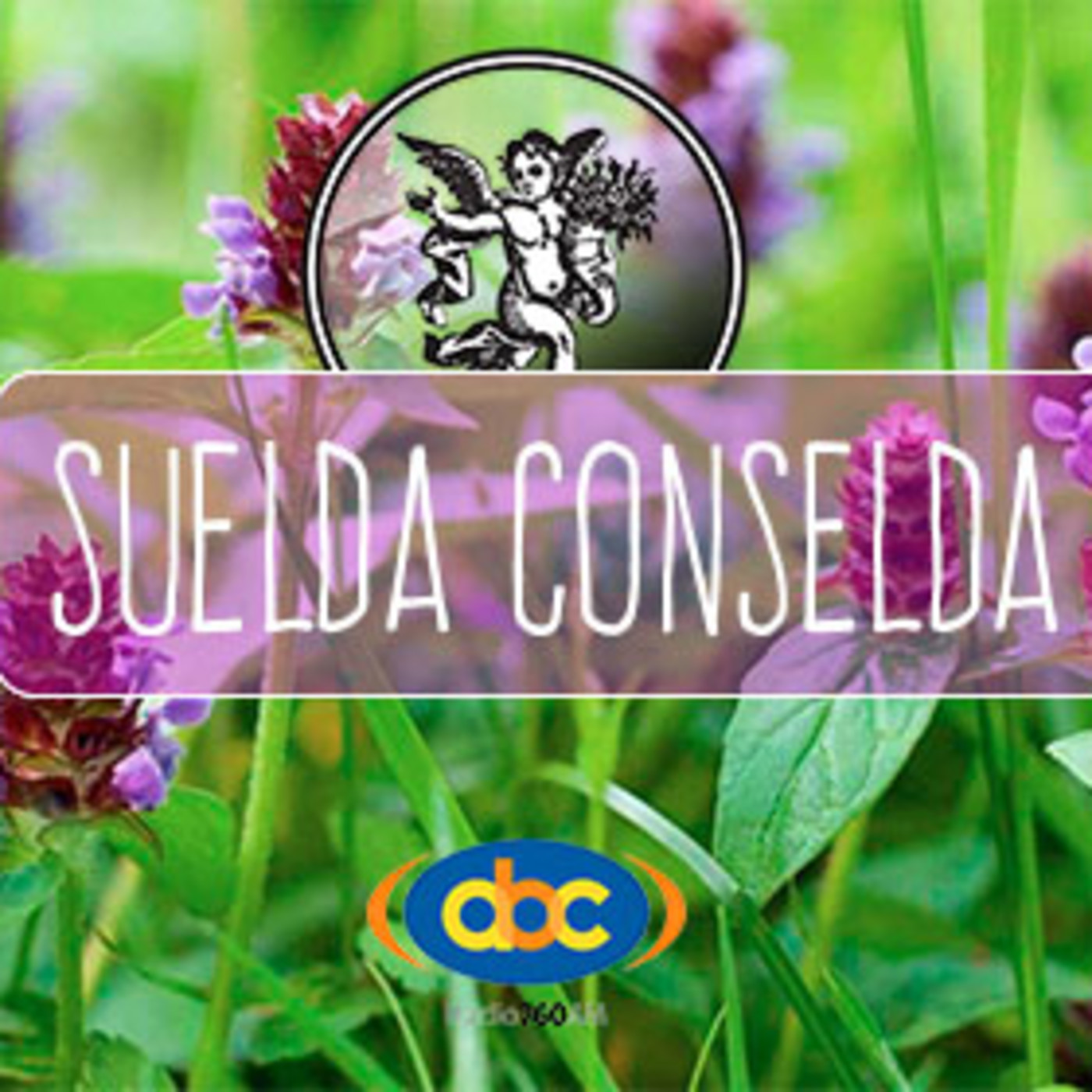 El Ángel de tu Salud - SUELDA CONSUELDA episode artwork