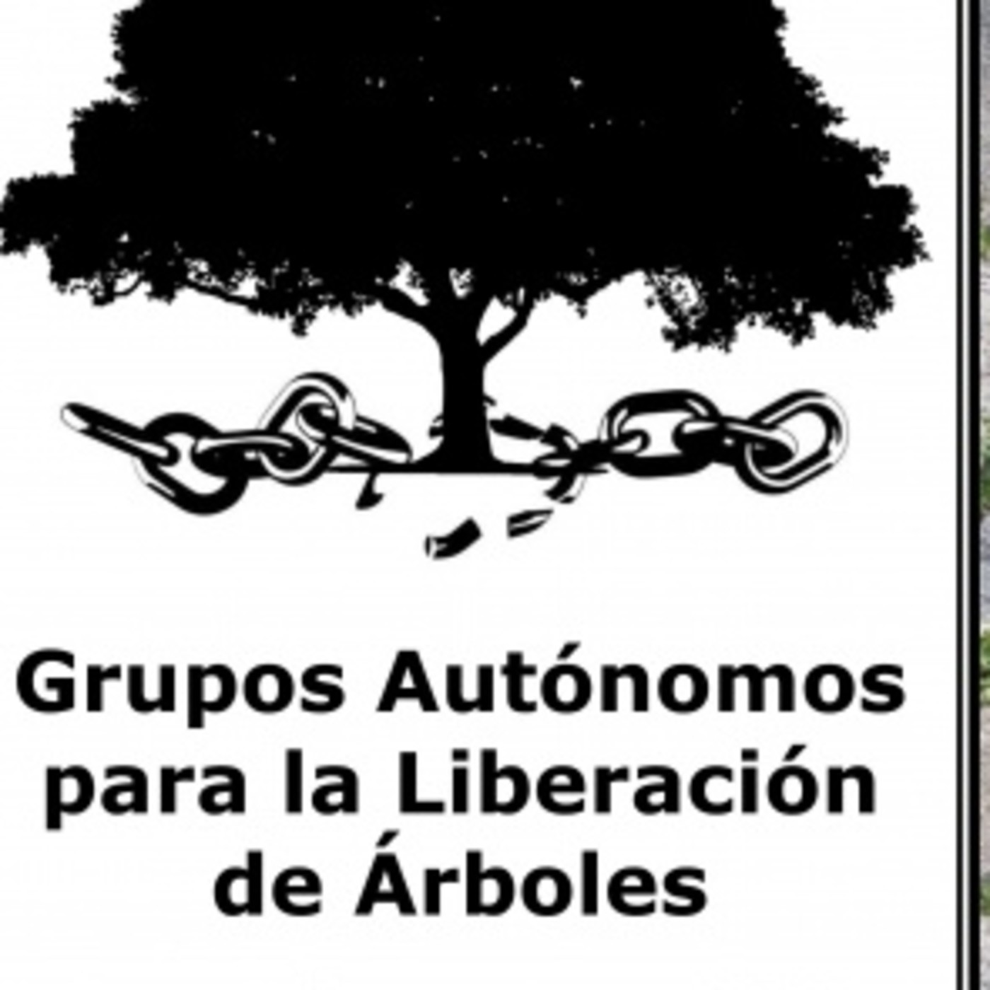Pata de Cabra Radio | Bici en la ciudad