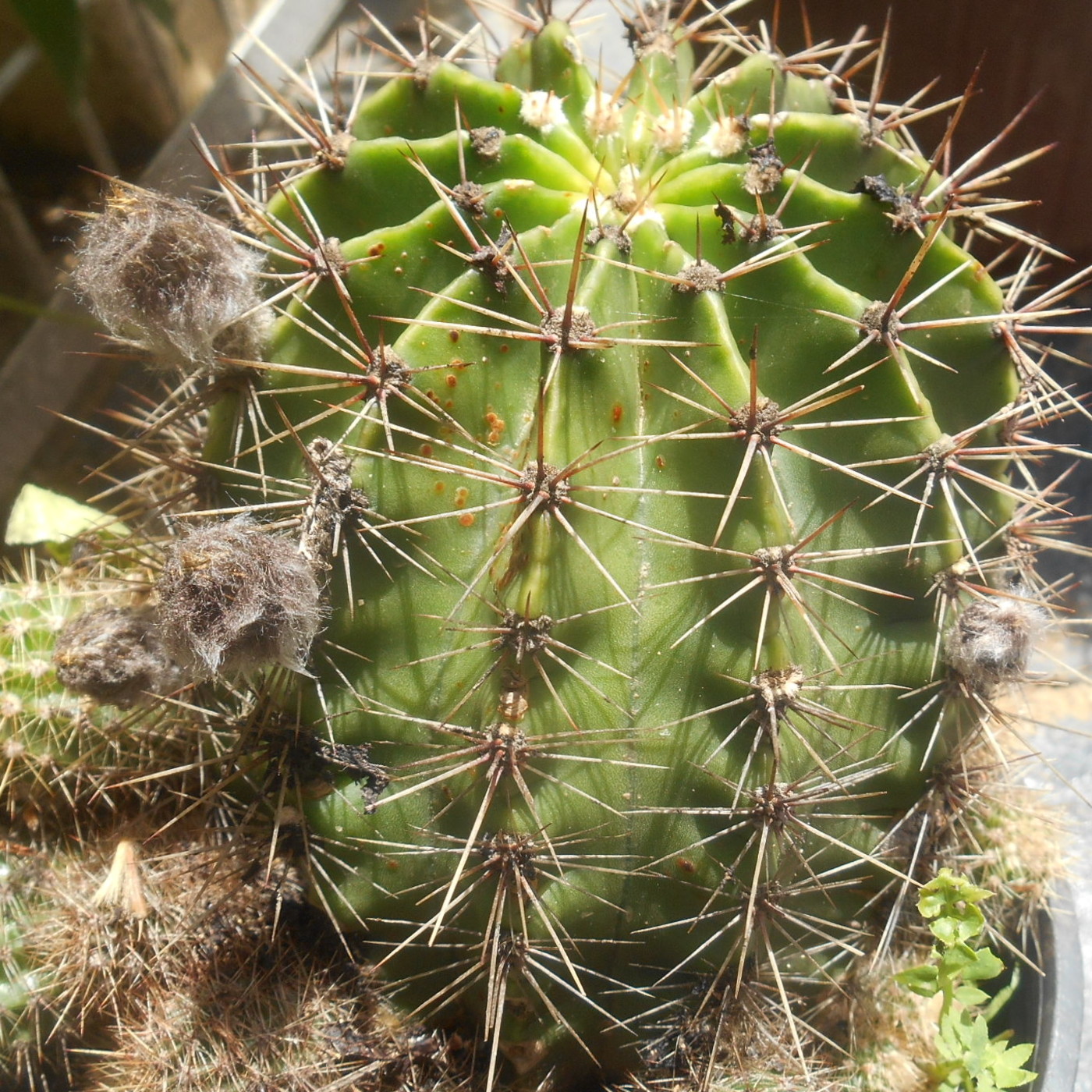 otra mirada nº2