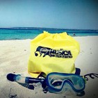 LMQNP Edición Verano Vol. 4