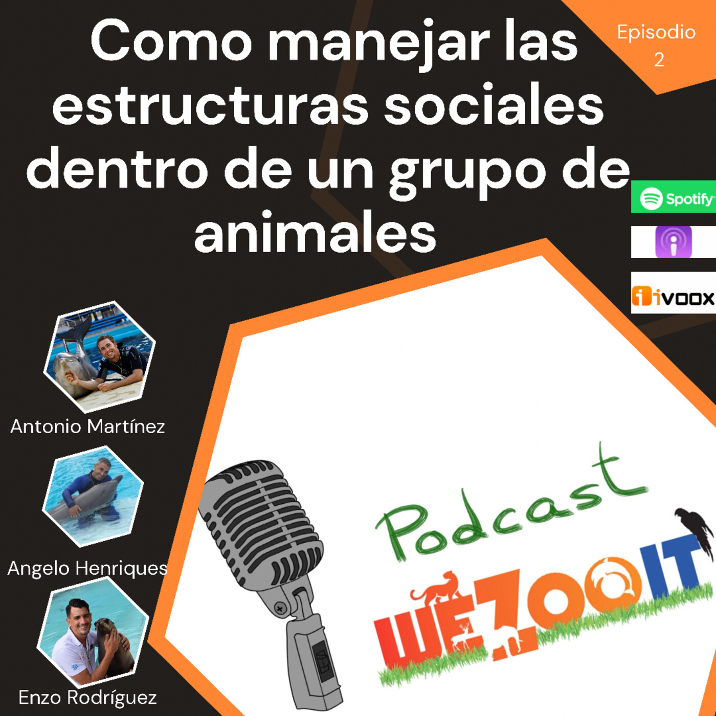 WeZooit Podcast