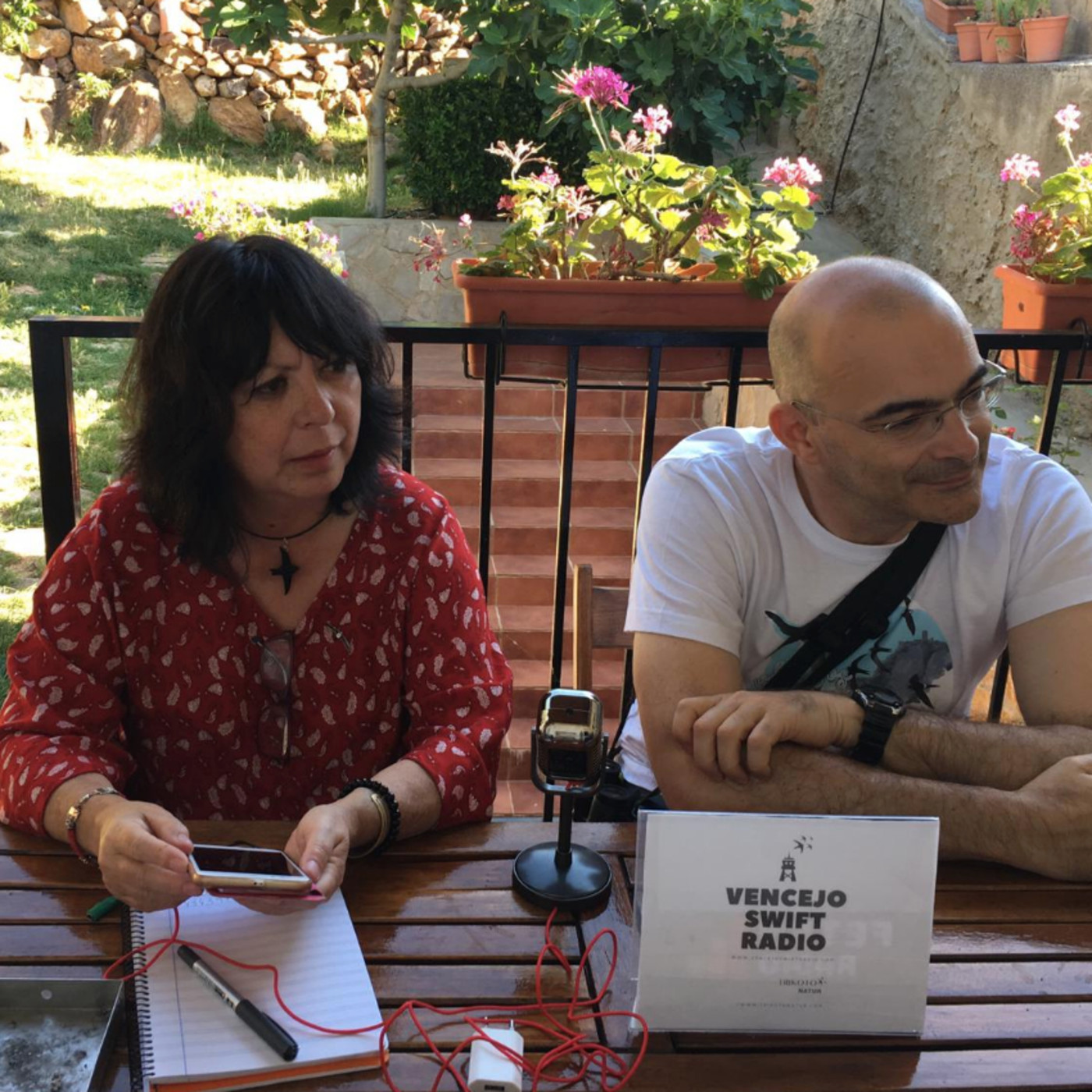 Vencejo Swift Radio
