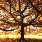 METAMORFOSIS CON DIOS-Lección-XIV-'Desarrollo de percepciones'-de J. Híades