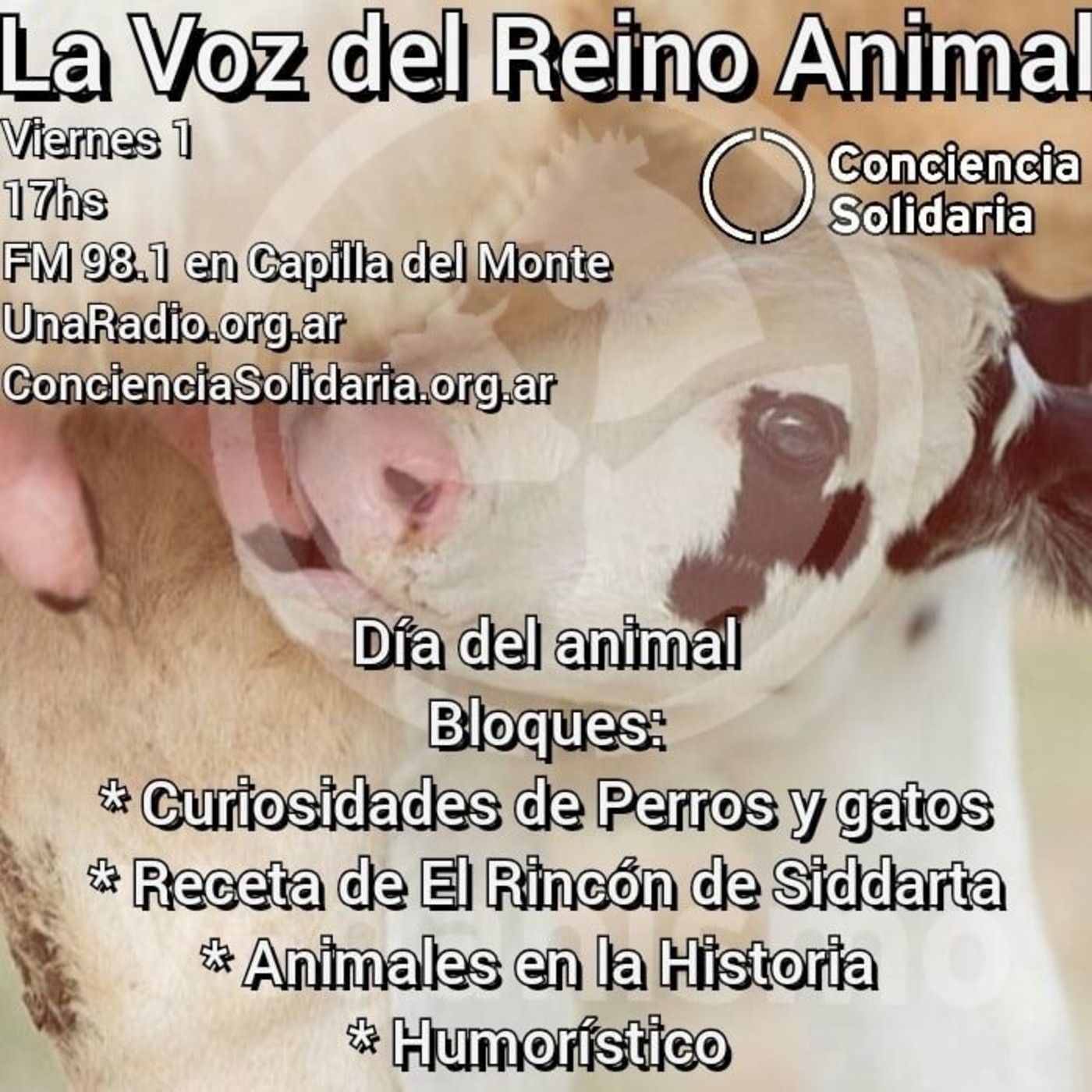 #LaVozDelReinoAnimal 01.05.2020 episode artwork