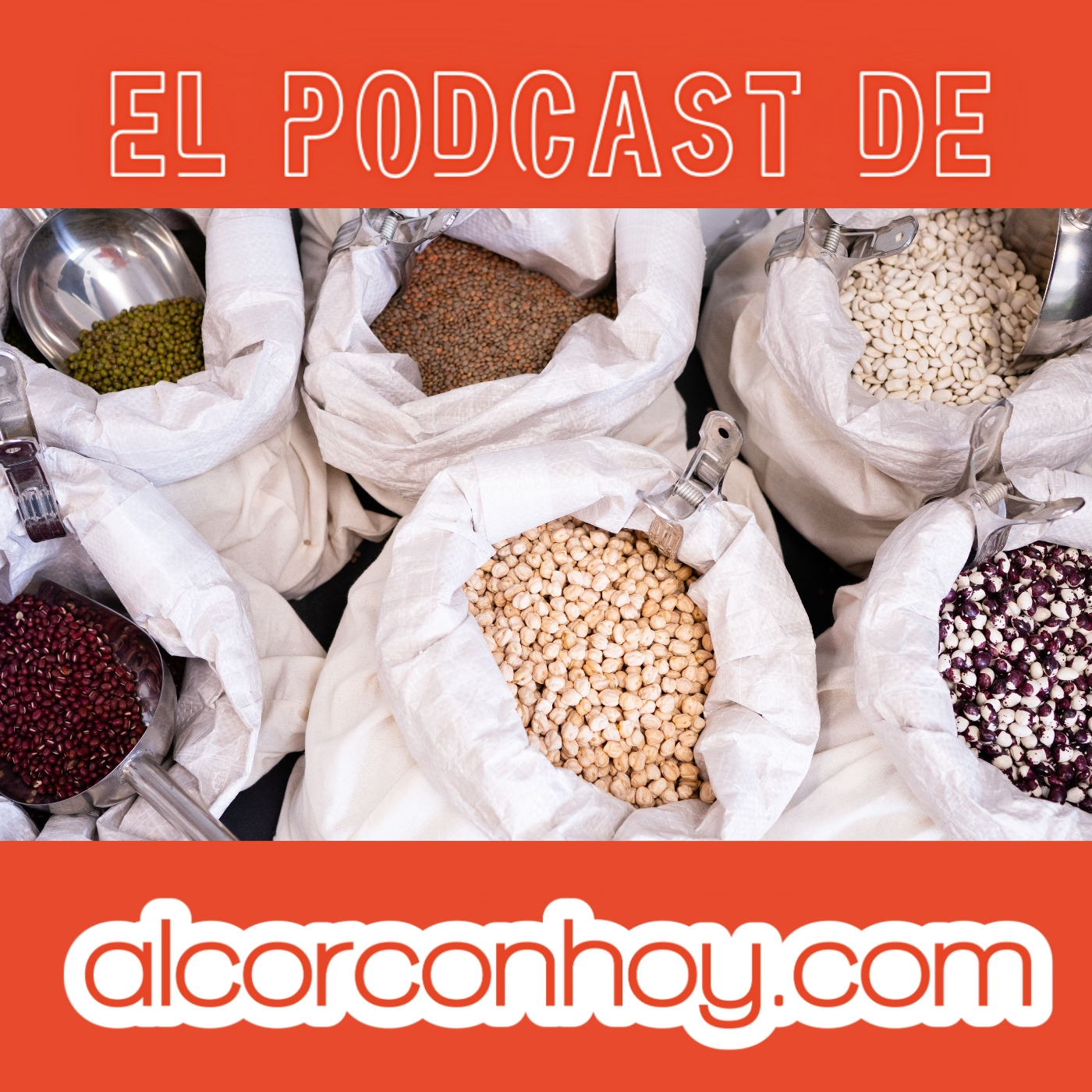 alcorconhoy.com - Tus noticias de Alcorcón