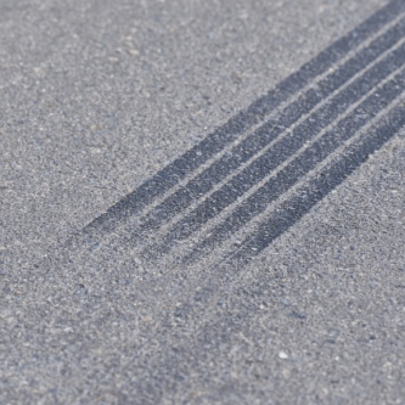 Daniel Seijas Palco de Estrelas