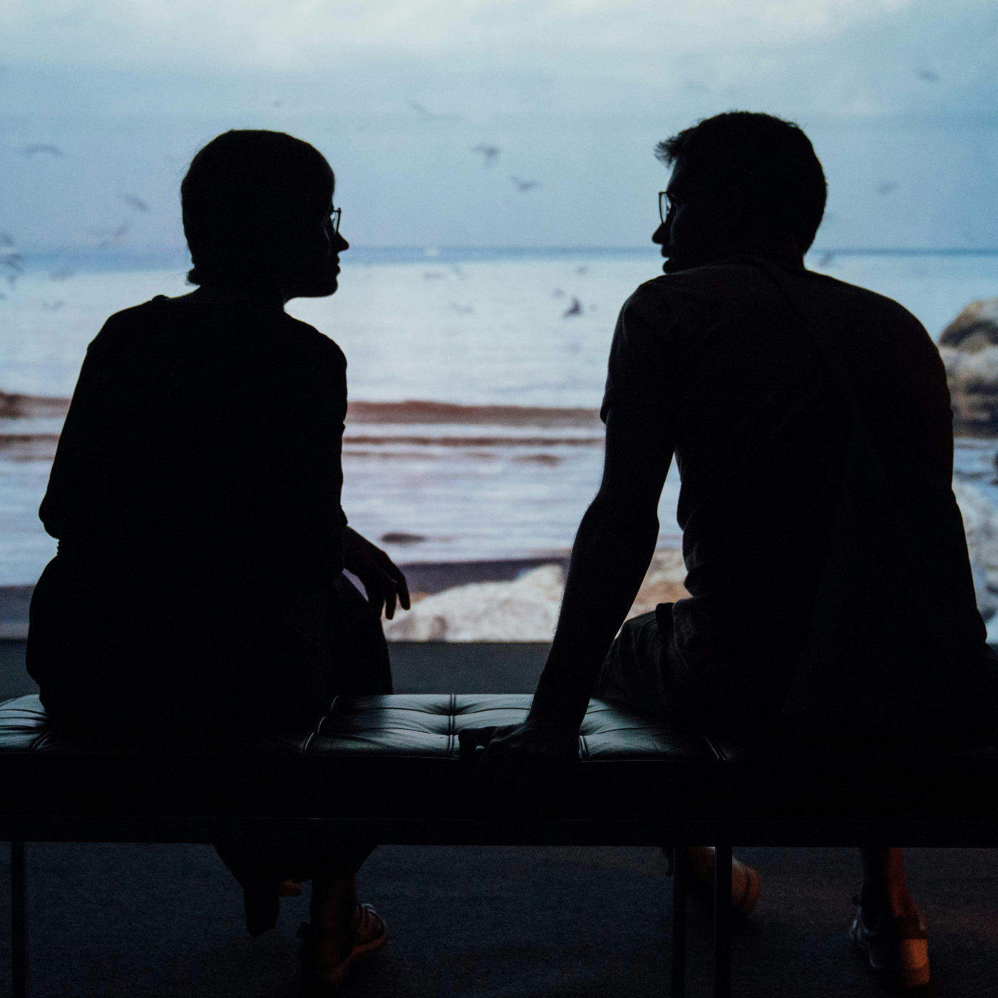 Aprender a conocer al otro