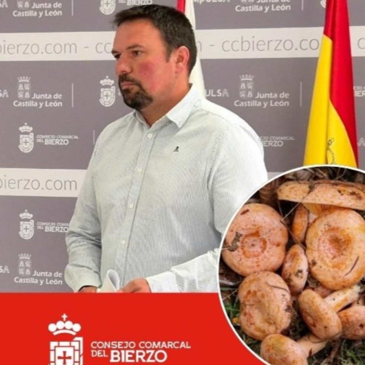 Luis Perales es el ingeniero forestal y consejero comarcal que es el responsable de la creación del Parque Micológico episode artwork