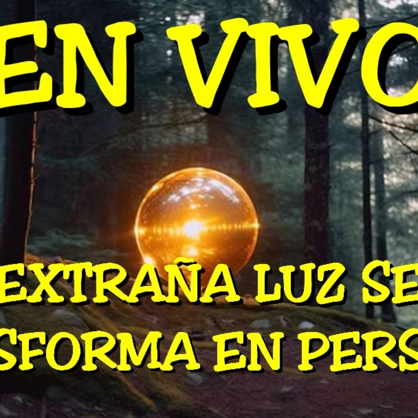 Los desvelados - 2024 - extraña luz se transforma en personas