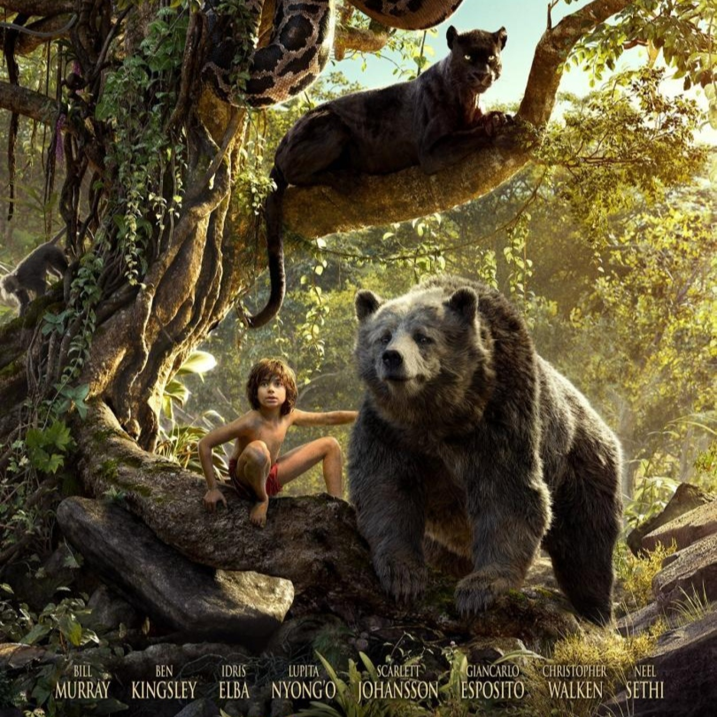   CRÍTICA | EL LIBRO DE LA SELVA (2016) - JON FAVREAU episode artwork