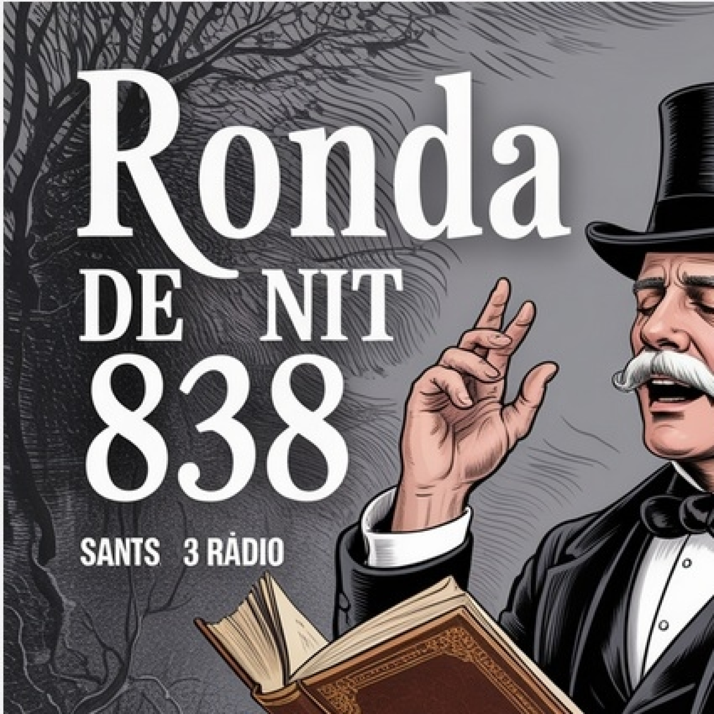 Ronda de Nit a Sants 3 Ràdio (21-11-25) 838 Karneef, Snowpoet, Luca Calabrese episode artwork