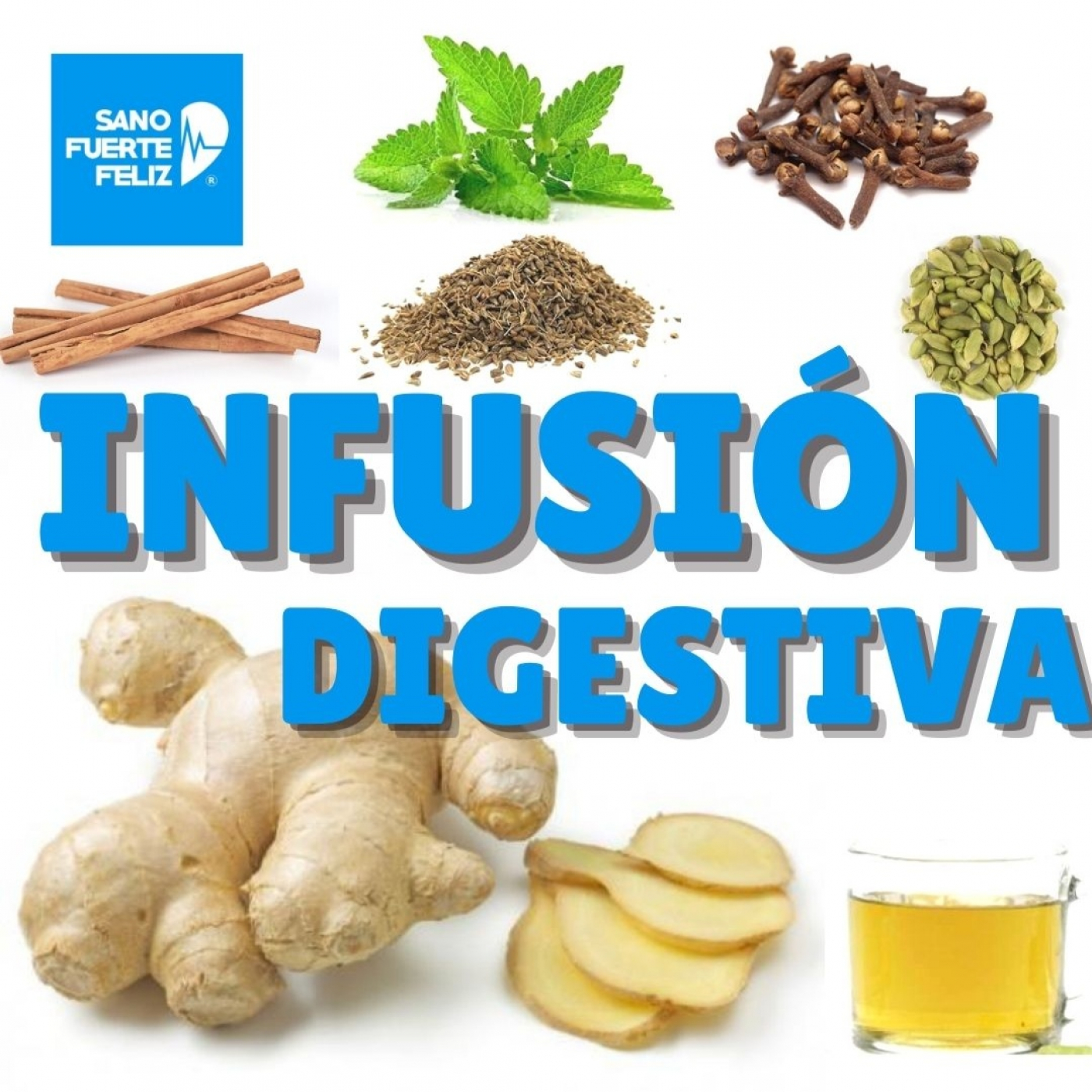 Infusión digestiva