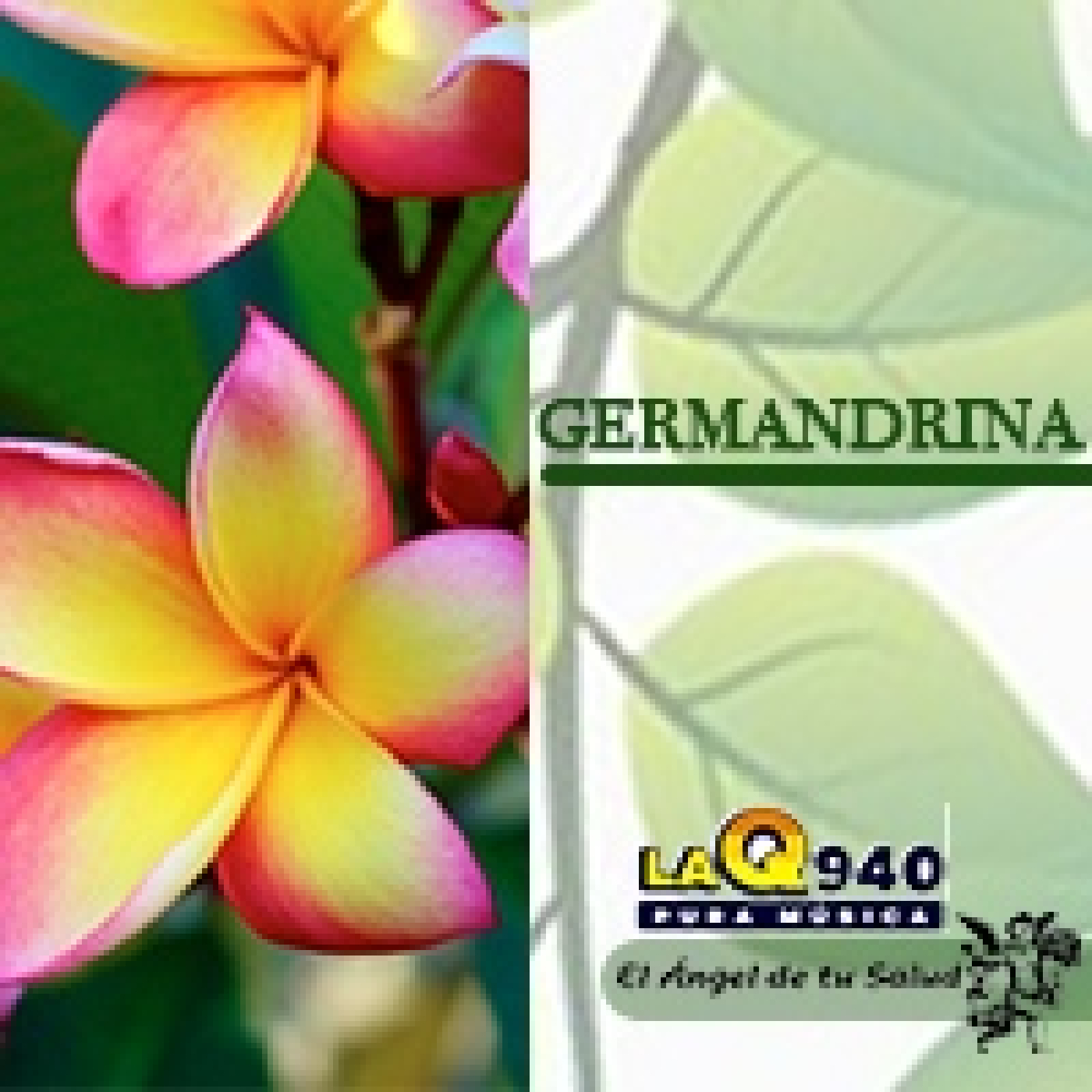 El Ángel de tu Salud - Germandrina** episode artwork