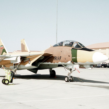 embed image