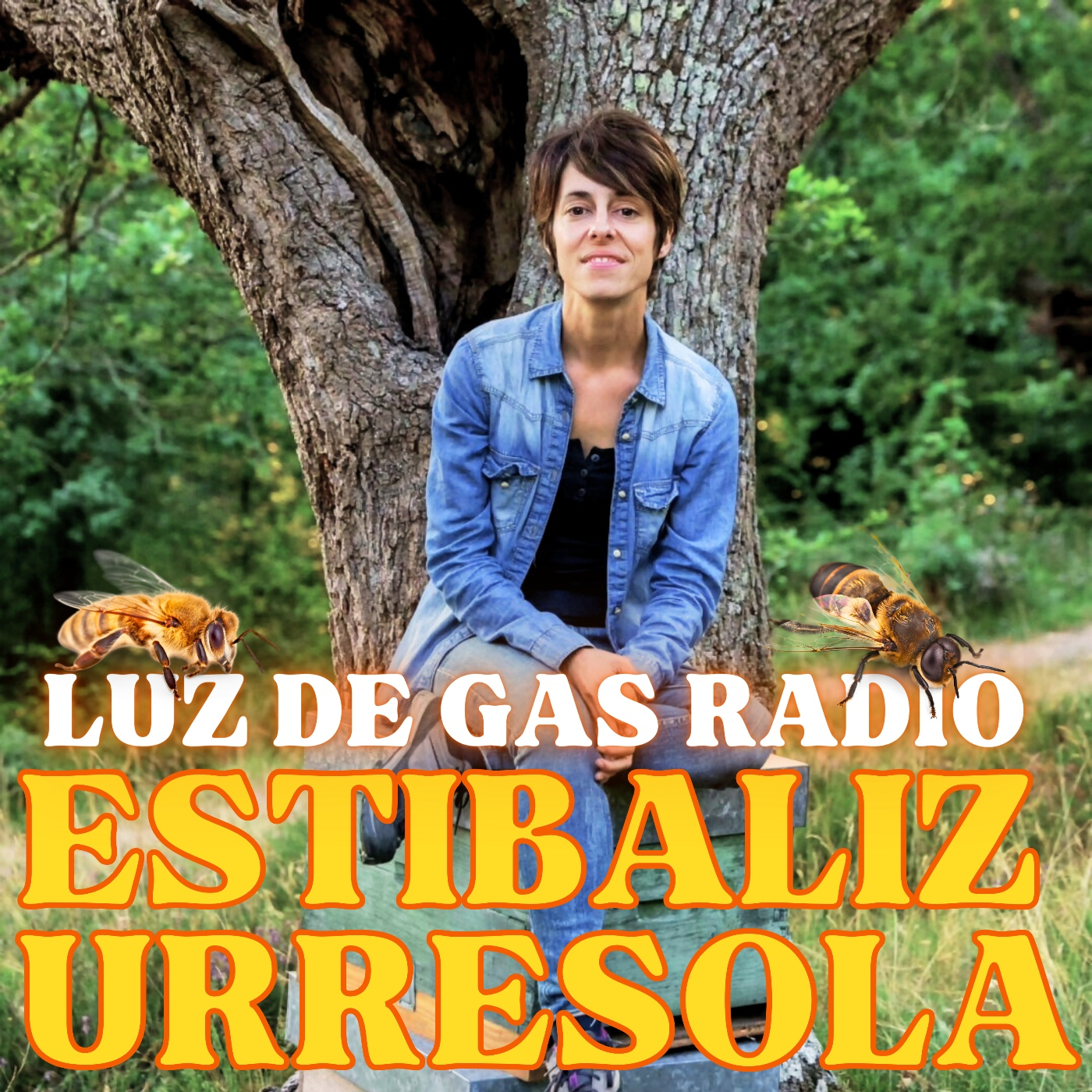 LUZ DE GAS RADIO