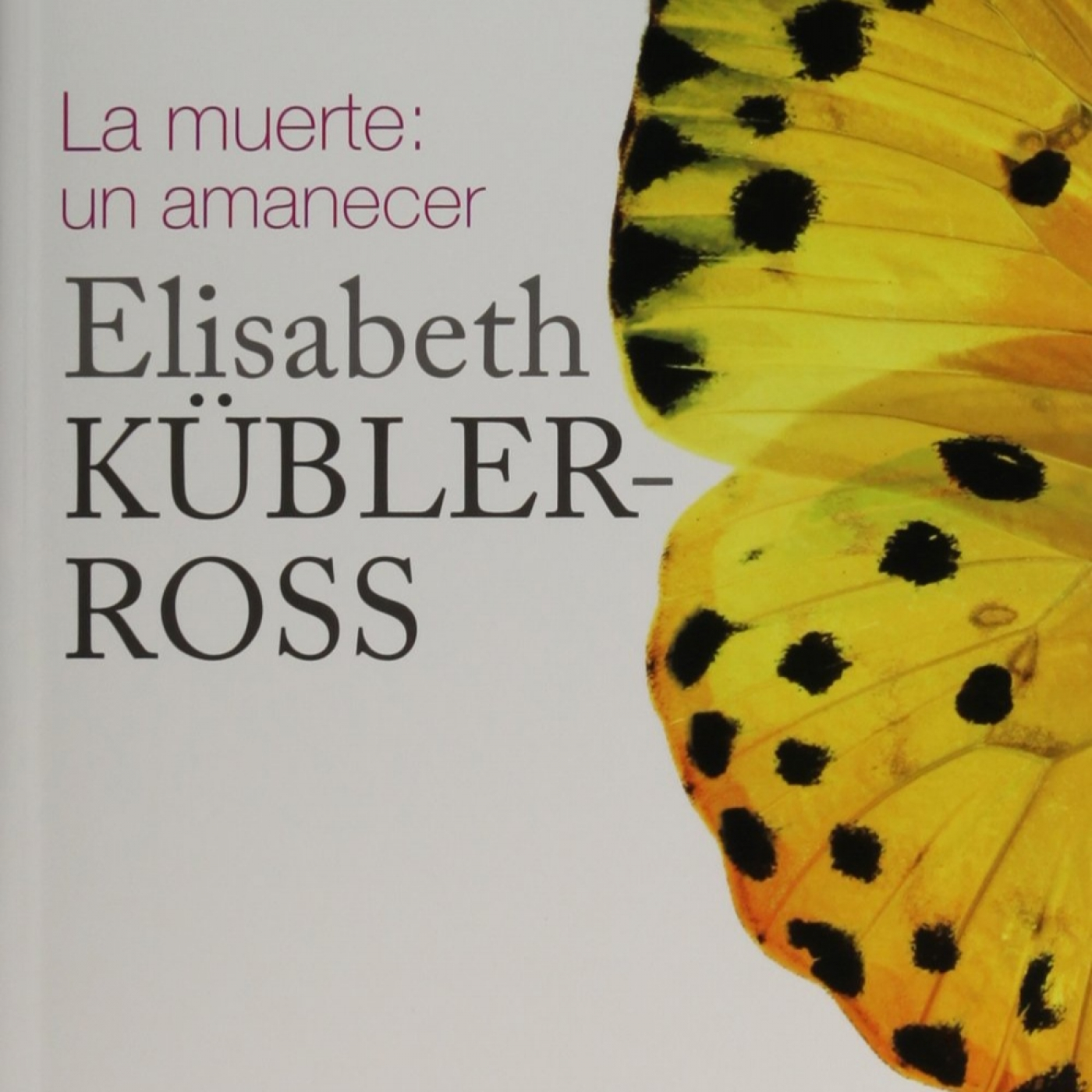Disfrutando Leyendo