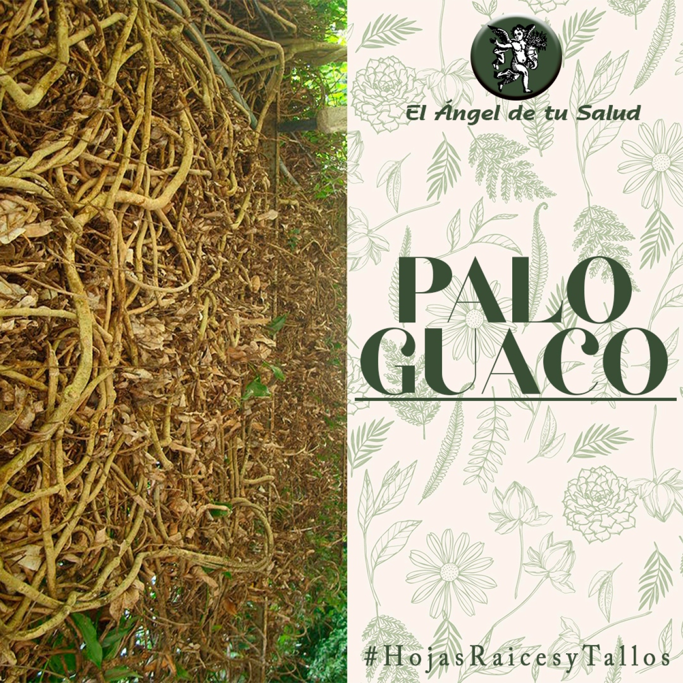 El Ángel de tu Salud - Palo Guaco** episode artwork