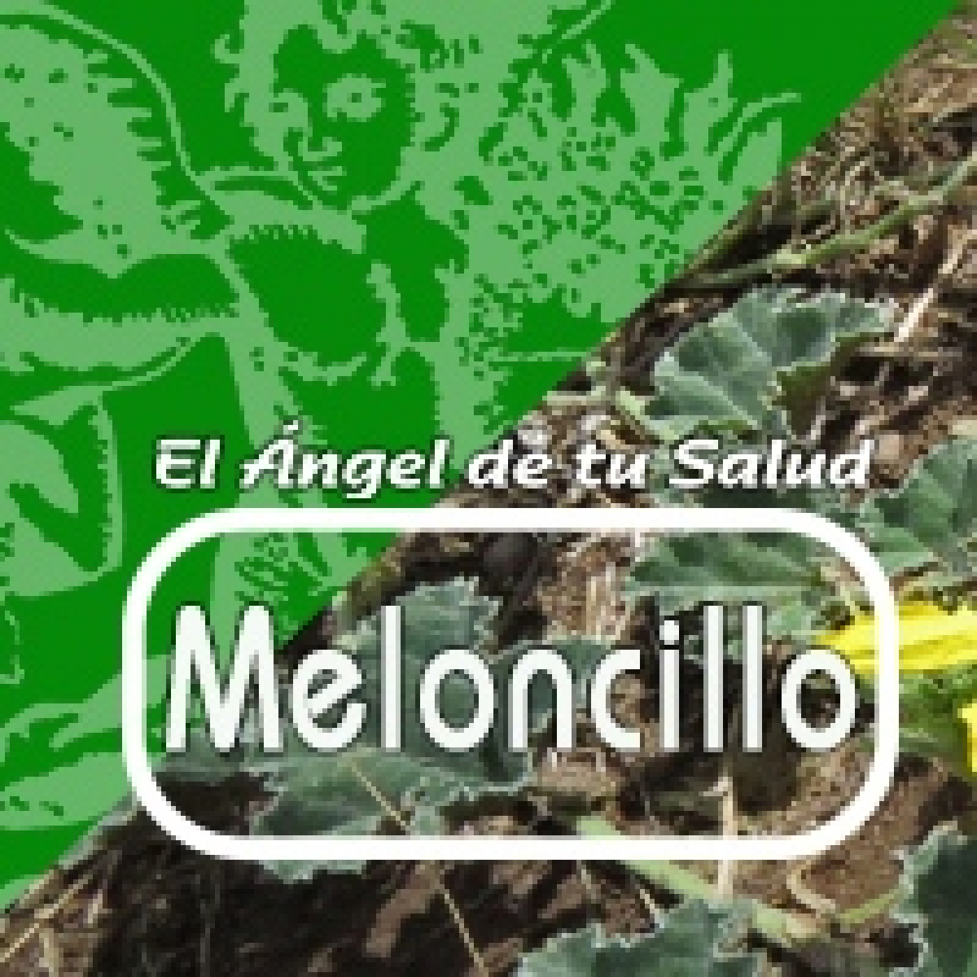 El Angel de tu Salud - MELONCILLO** episode artwork