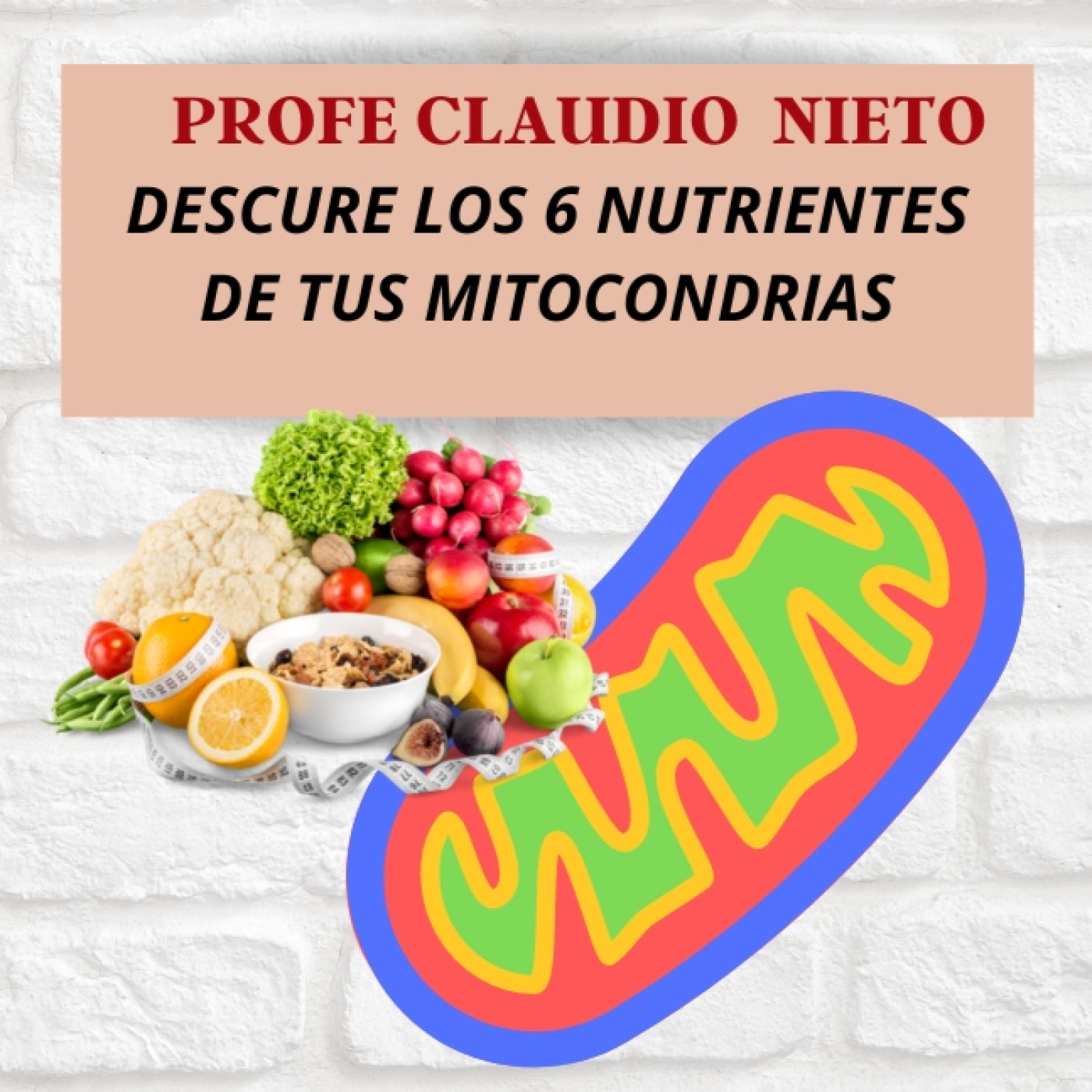 61. ¿CÓMO se ALIMENTAN tus MITOCONDRIAS?