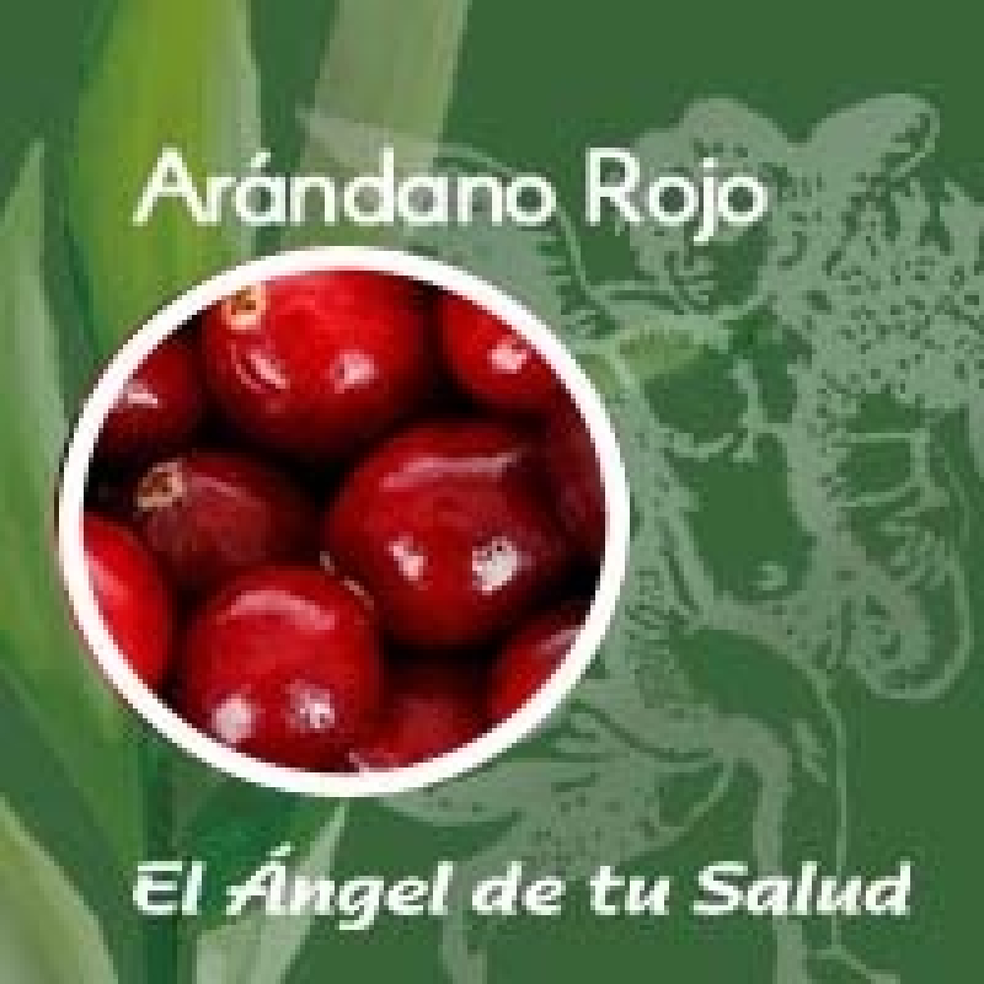El Ángel de tu Salud - Arándano Rojo** episode artwork