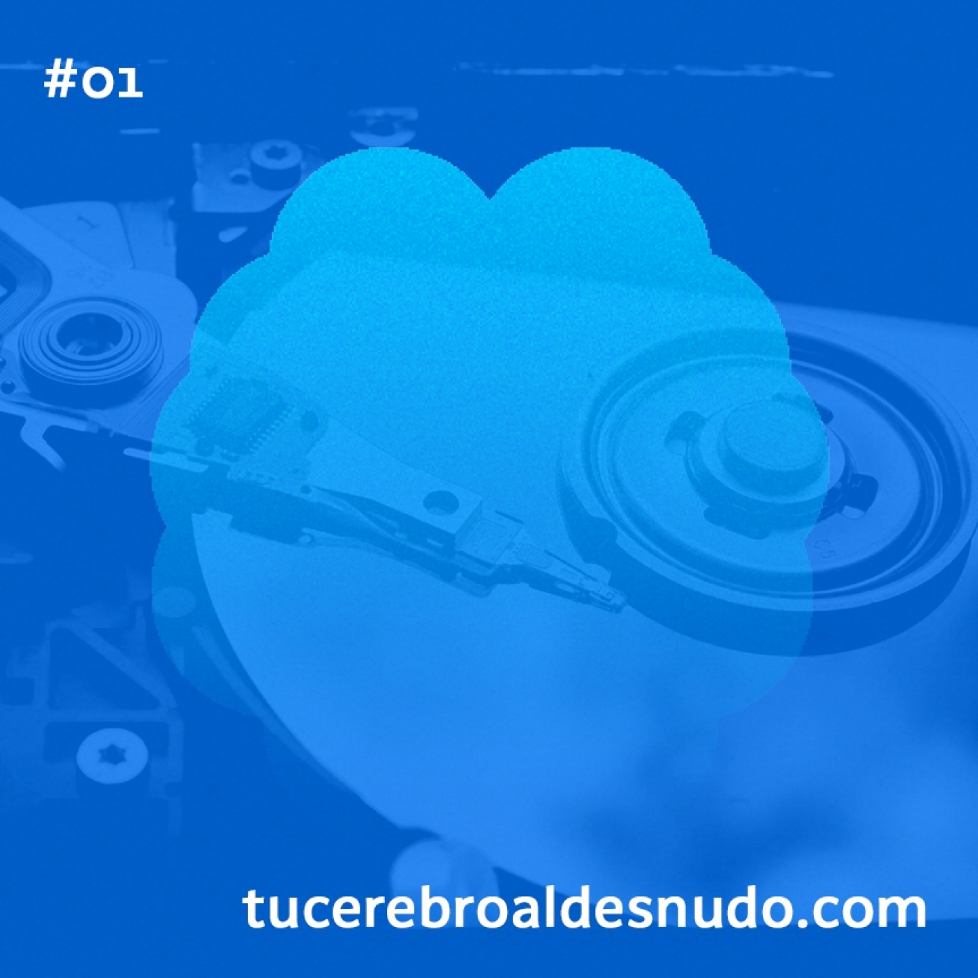Cerebro Injodible®