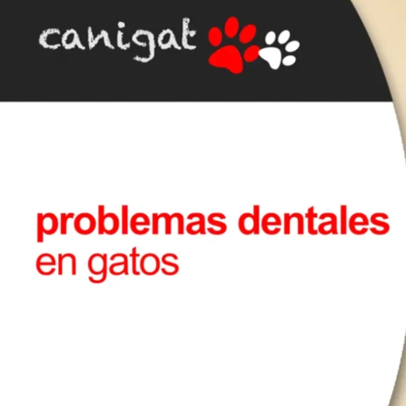 Consejos veterinarios de perros y gatos by canigat