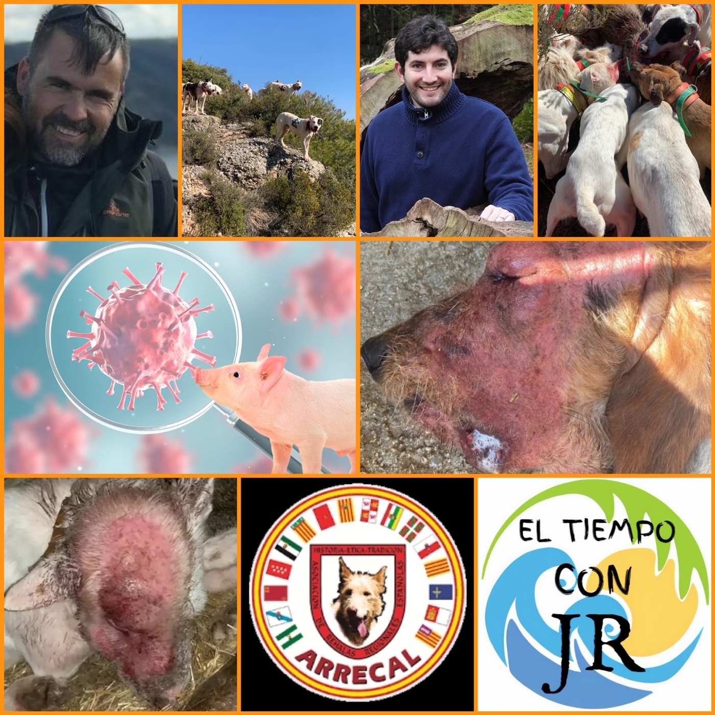 EL MORRAL DEL CAZADOR 12-01-2024 PROG 358 " EL VIRUS DE AUJESZKY, NUESTROS PERROS EN PELIGRO"